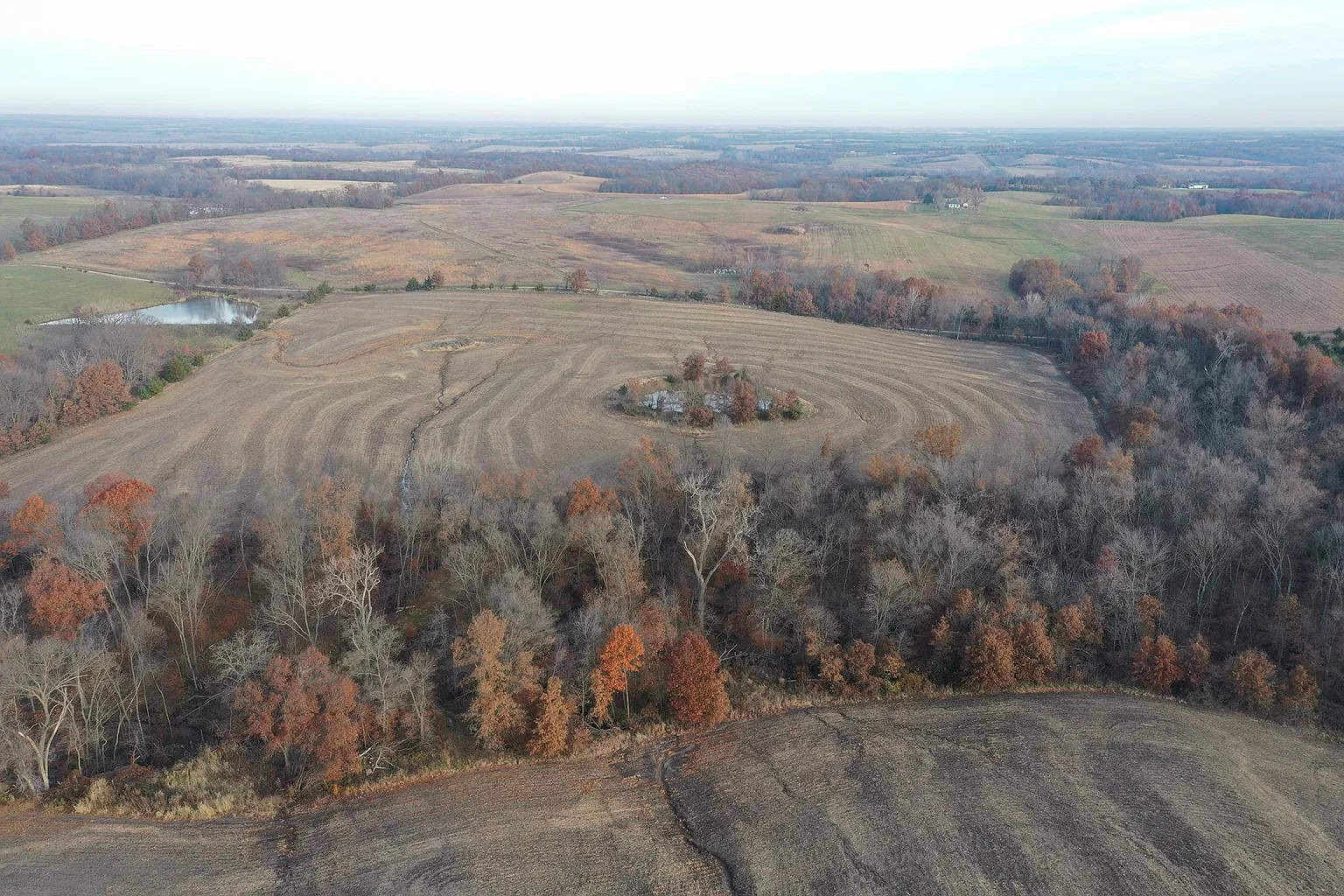 Farm Ground with 69 acres m/l
