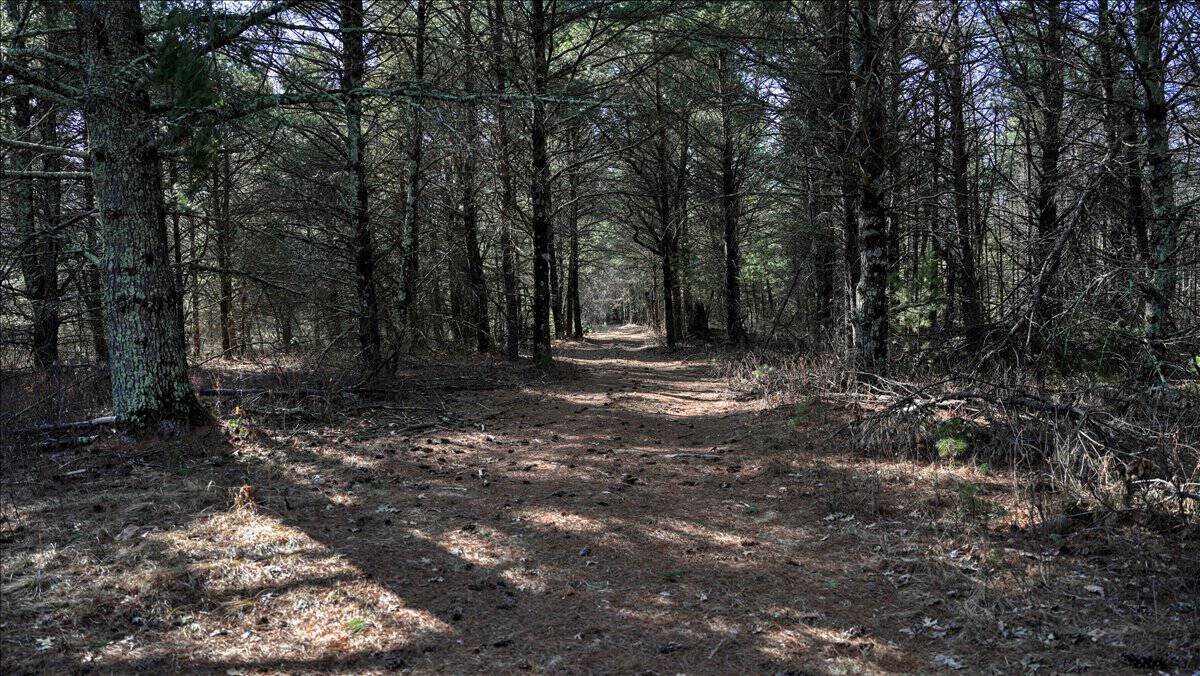 Premier Hunting and Recreational Property in Monroe County