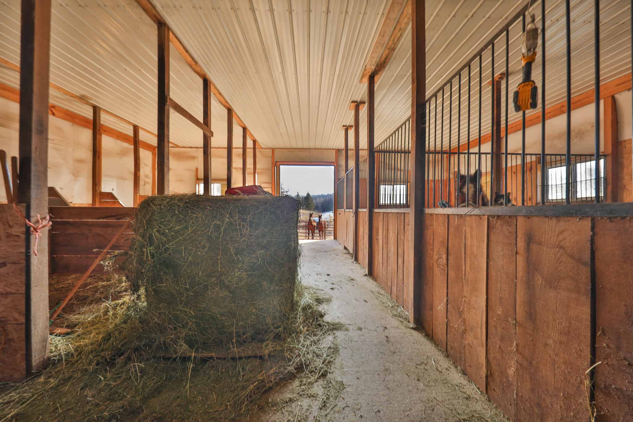 Hobby Farm for Sale in Richland County, Wisconsin