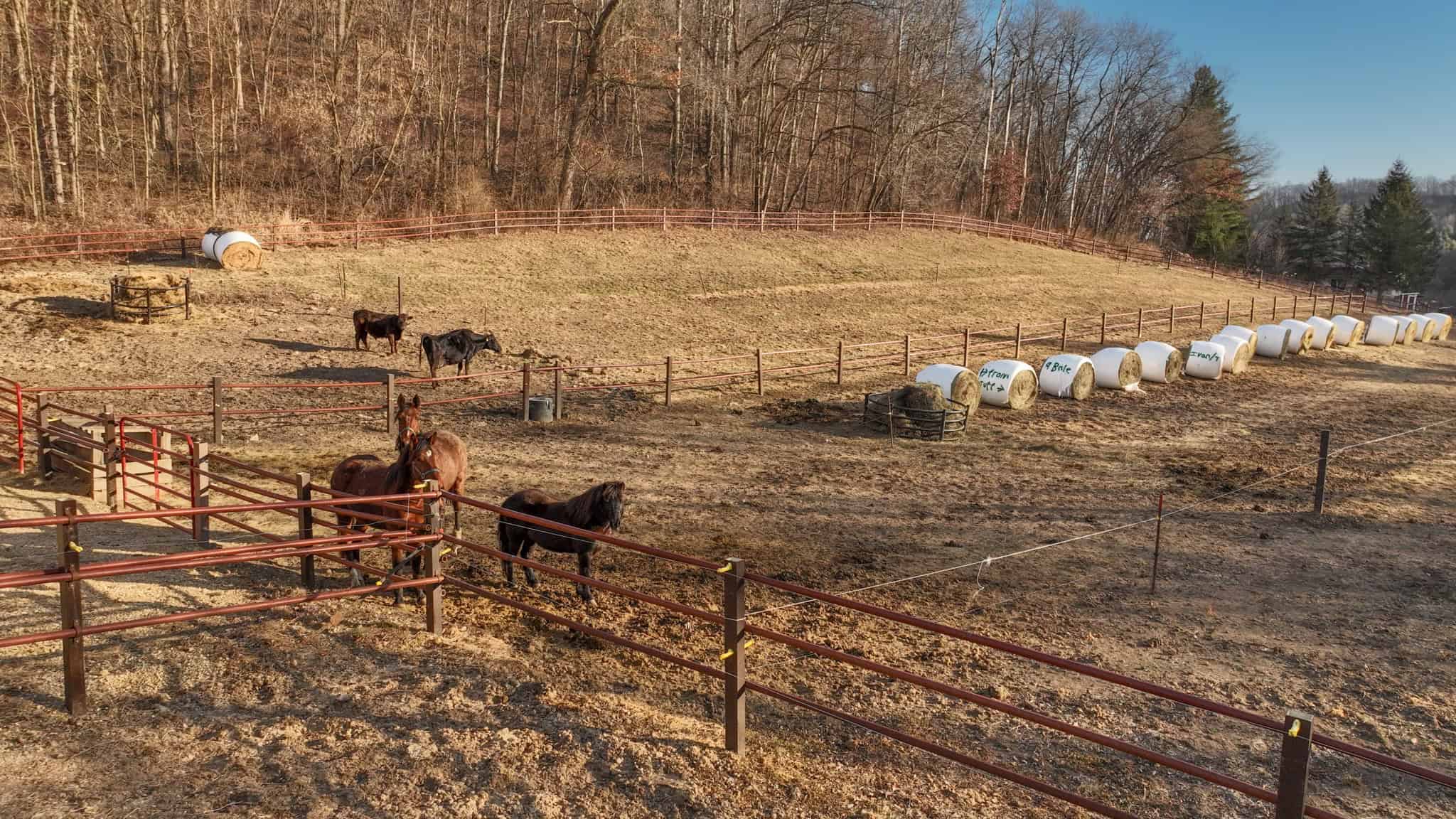 Hobby Farm for Sale in Richland County, Wisconsin