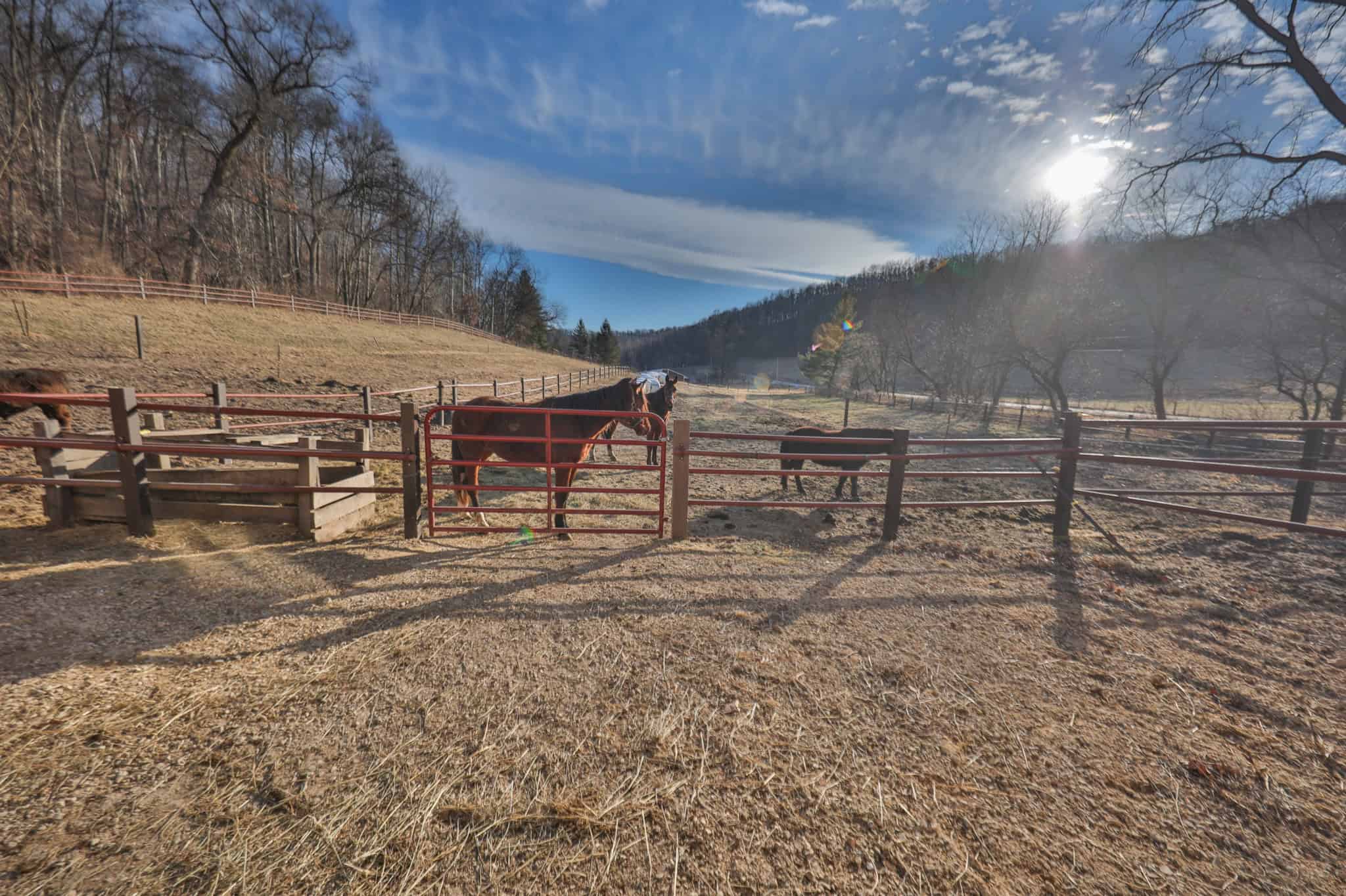 Hobby Farm for Sale in Richland County, Wisconsin