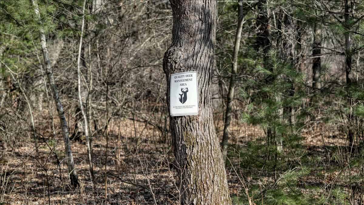 Premier Hunting and Recreational Property in Monroe County