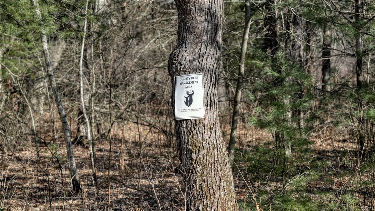 Premier Hunting and Recreational Property in Monroe County