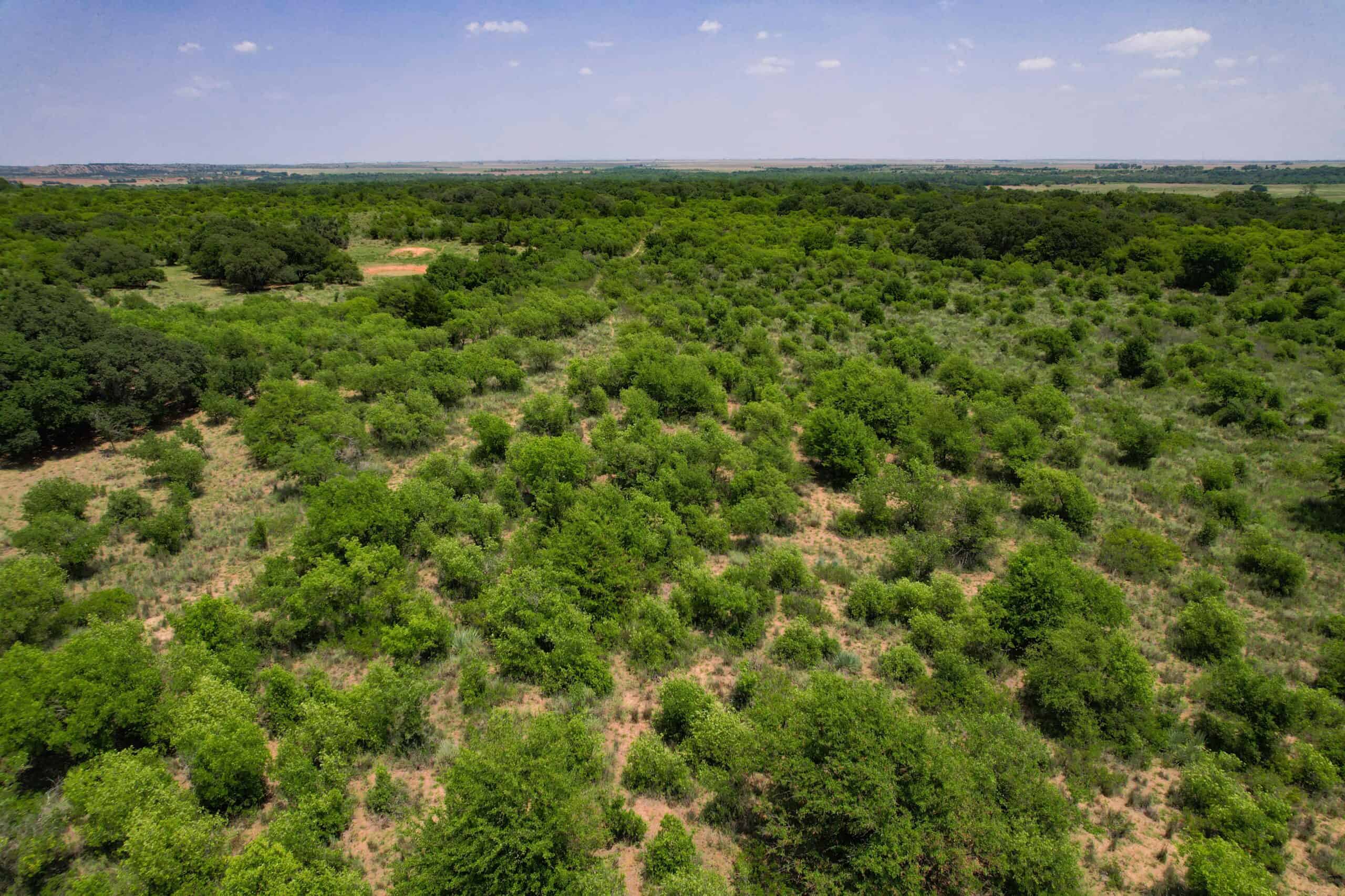 Multi-Property Auction Greer and Kiowa County Land Oklahoma
