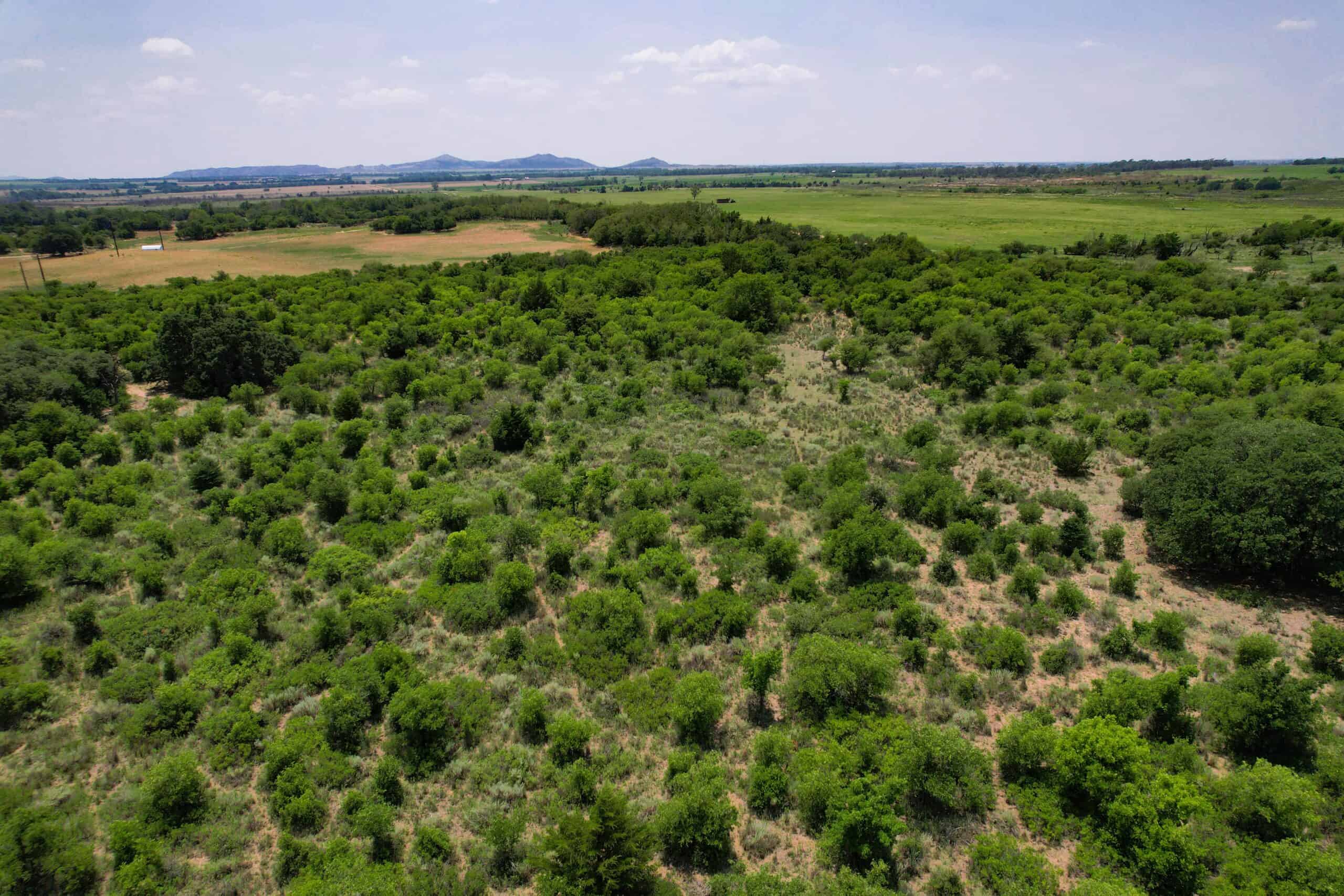 Multi-Property Auction Greer and Kiowa County Land Oklahoma