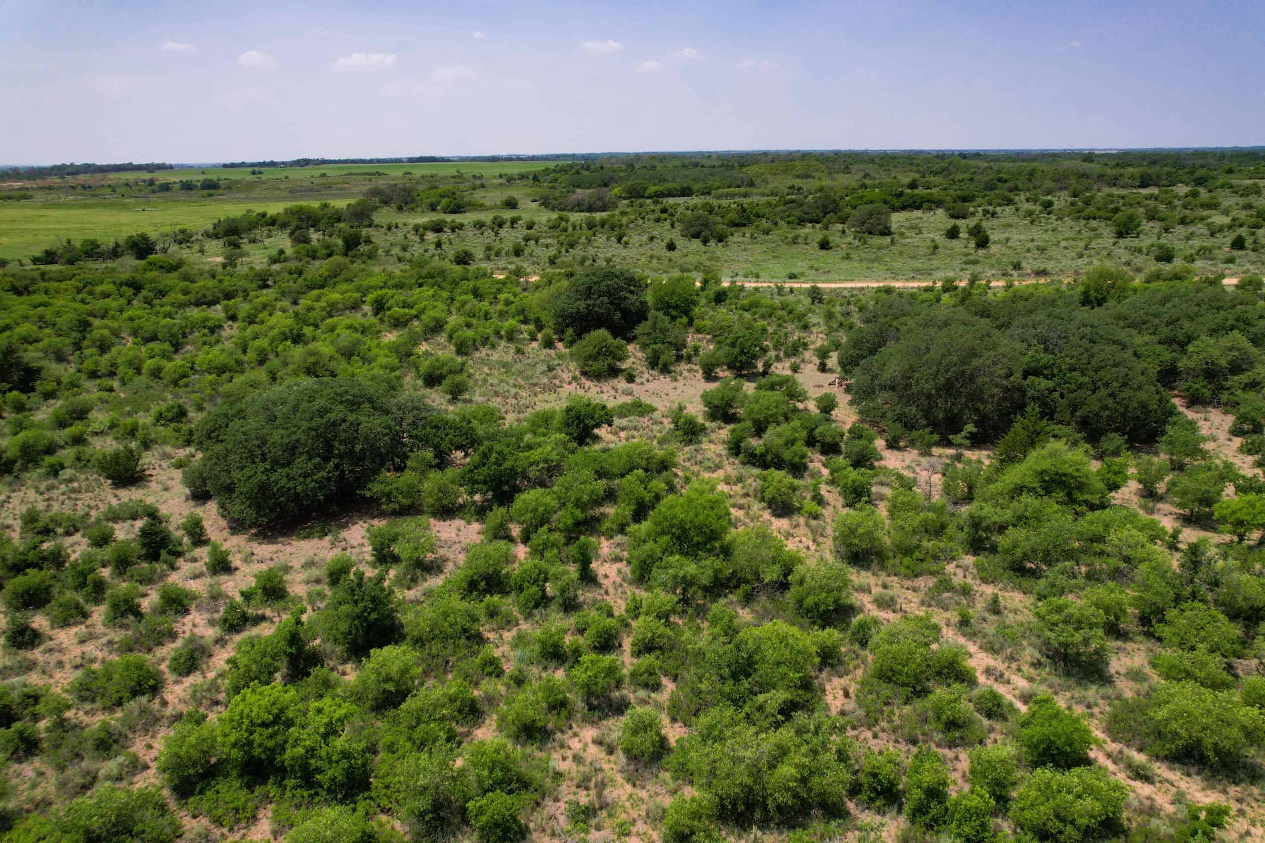 Multi-Property Auction Greer and Kiowa County Land Oklahoma