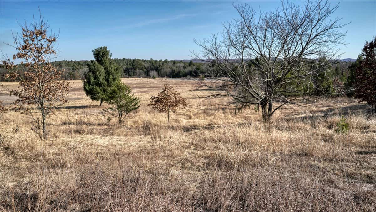 Premier Hunting and Recreational Property in Monroe County