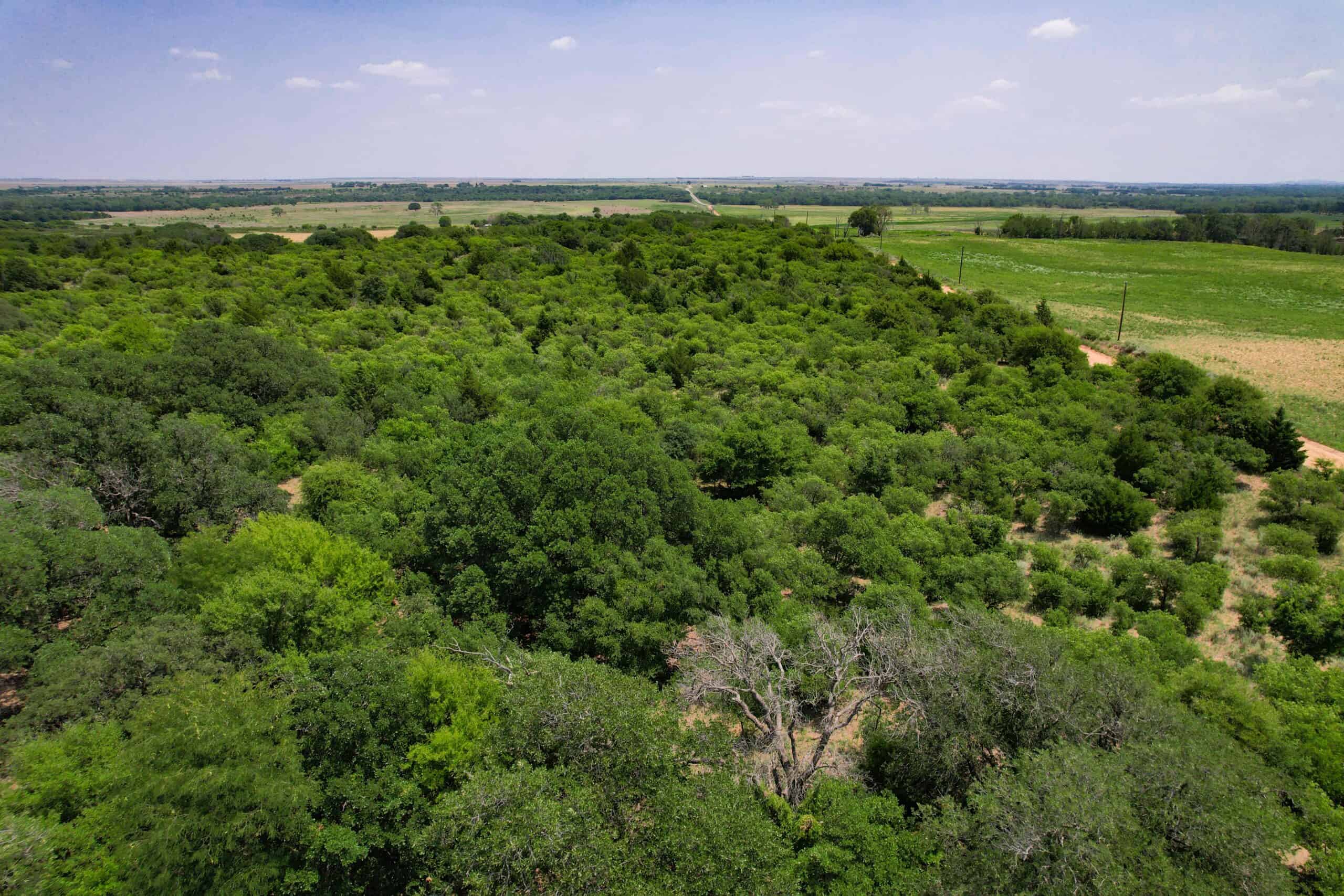 Multi-Property Auction Greer and Kiowa County Land Oklahoma