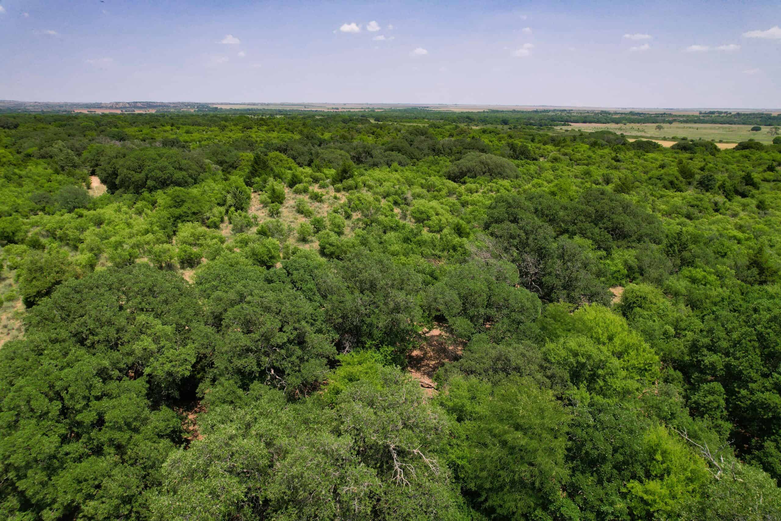 Multi-Property Auction Greer and Kiowa County Land Oklahoma