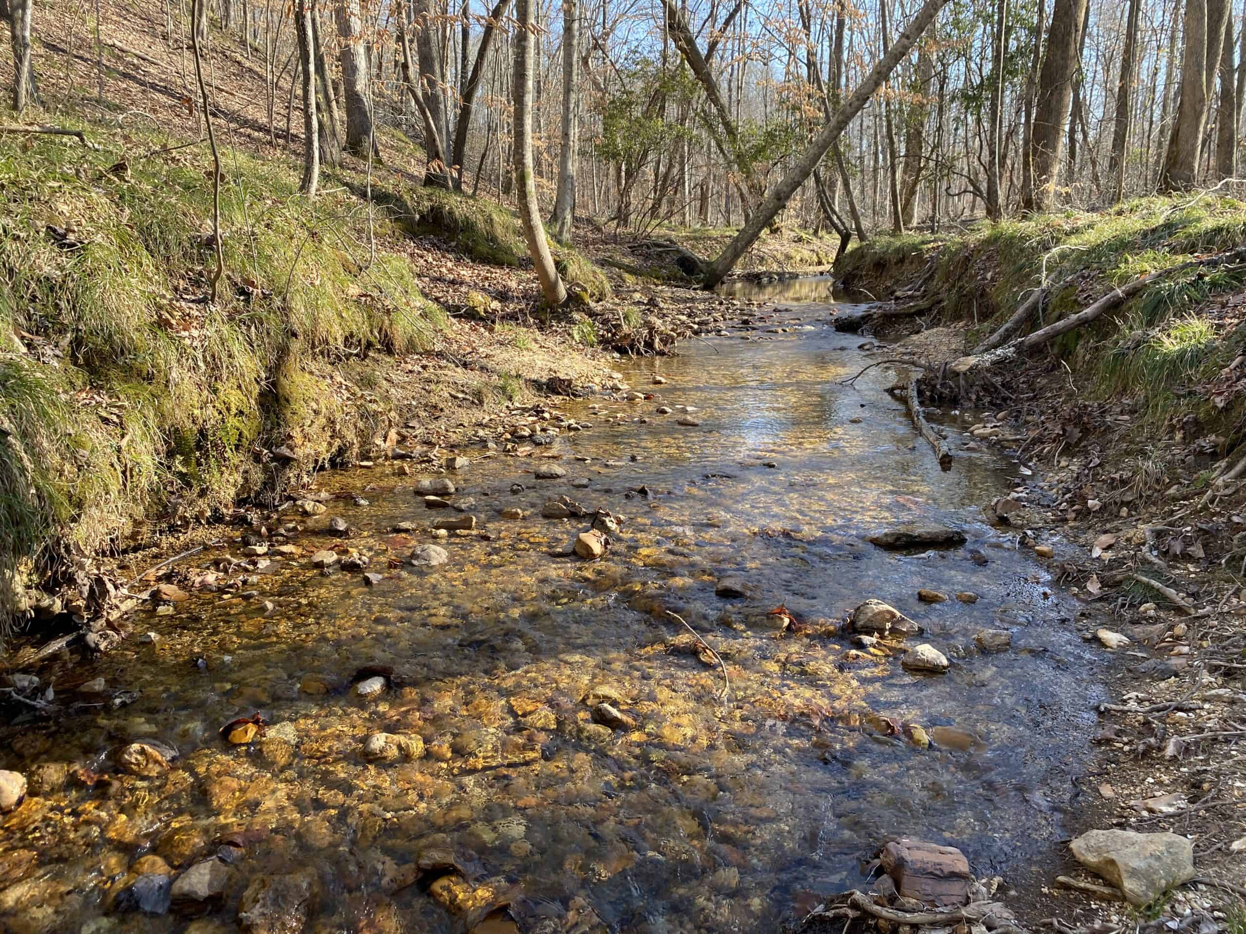 HUNTING PROPERTY FOR SALE IN TN, ROCK BOTTOM CREEKS & 5 FIELDS