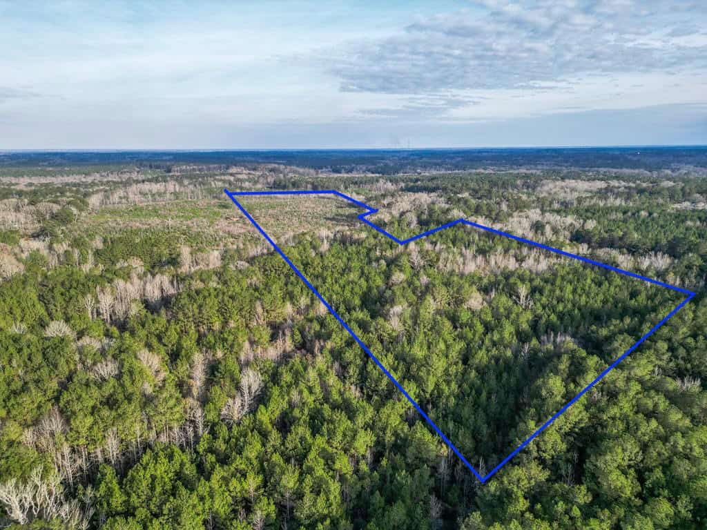 Land for Sale in Amite County, MS