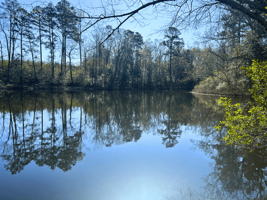 Hunting & Timber Investment Property for Sale in East Texas