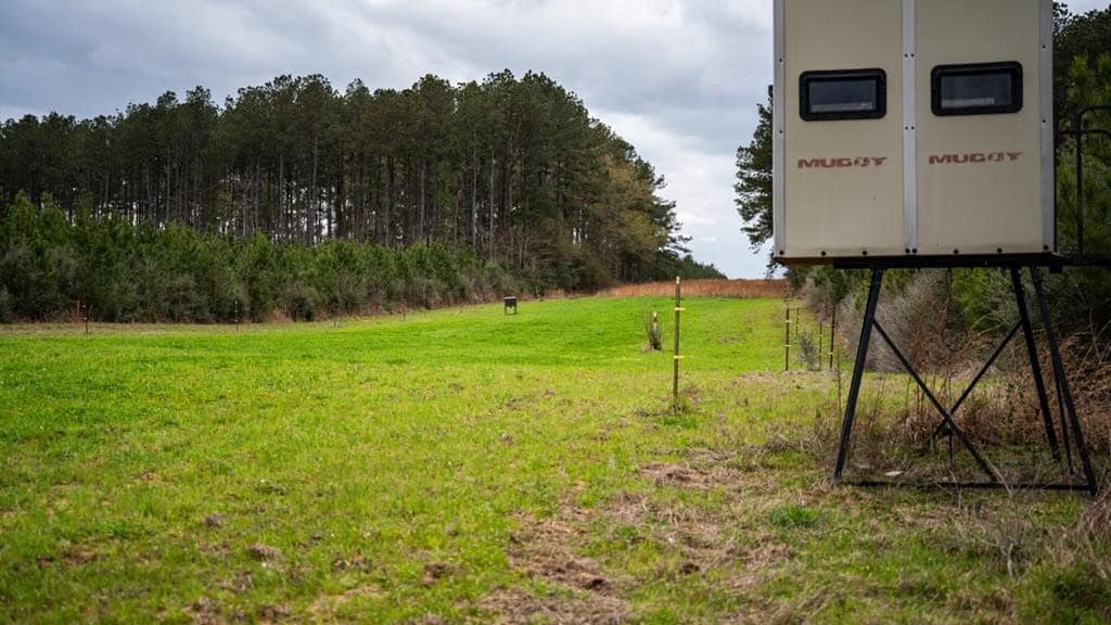 Affordable Hunting Property in Amite County
