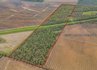 Affordable Deer/Duck Combination in Concordia Parish