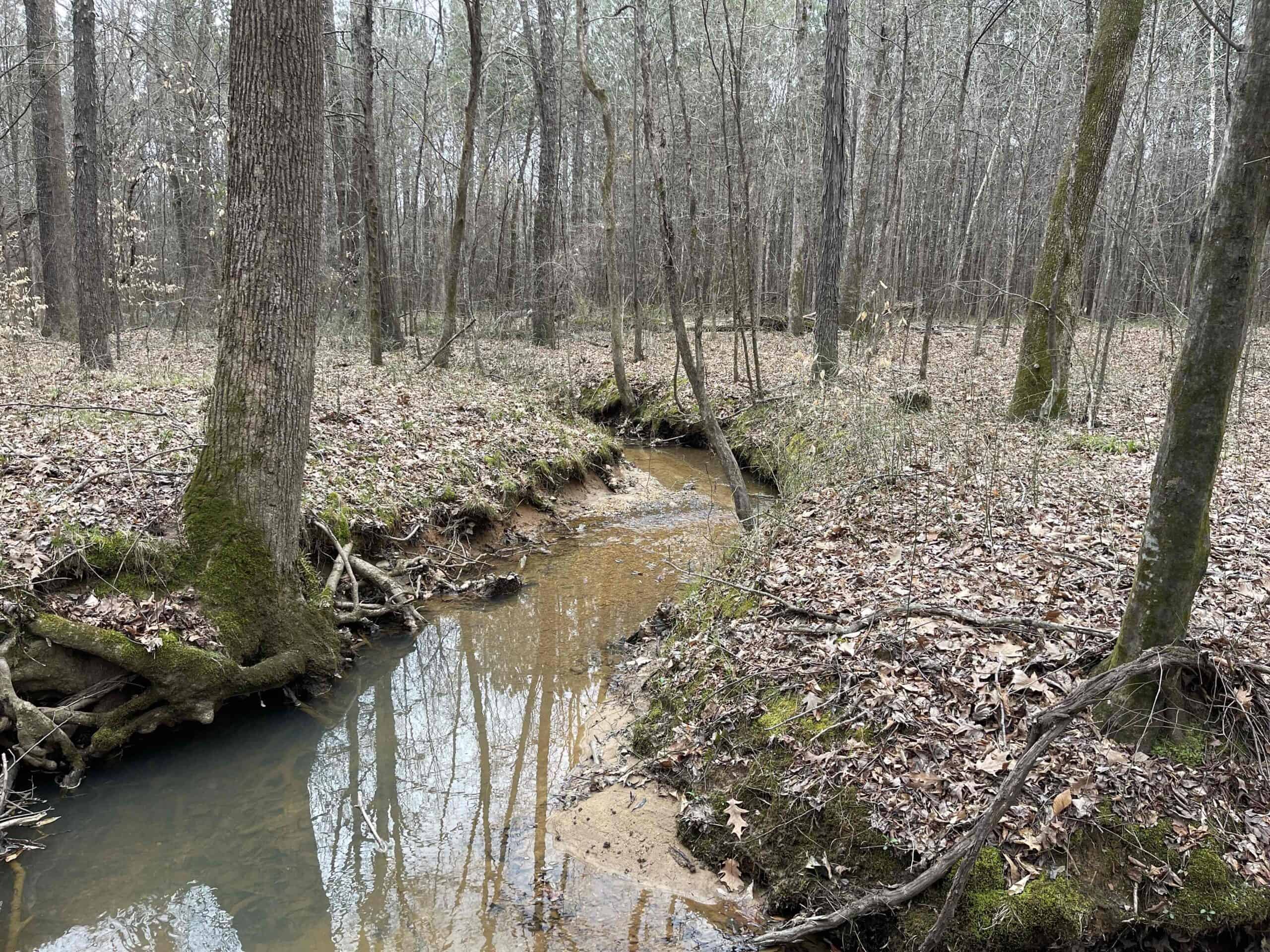 HUNTING LAND FOR SALE NEAR TN RIVER WITH CREEK 154.16Acres