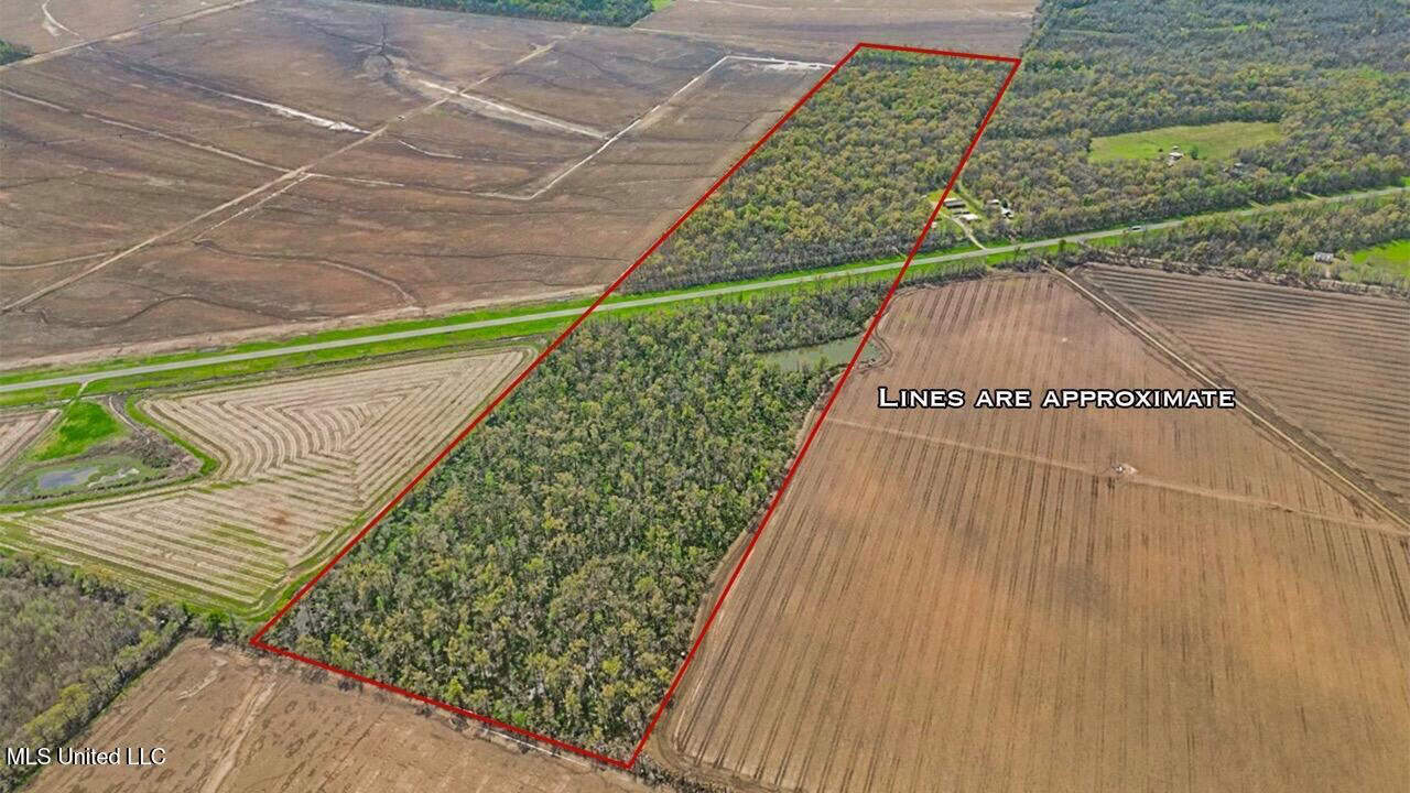 Affordable Deer/Duck Combination in Concordia Parish