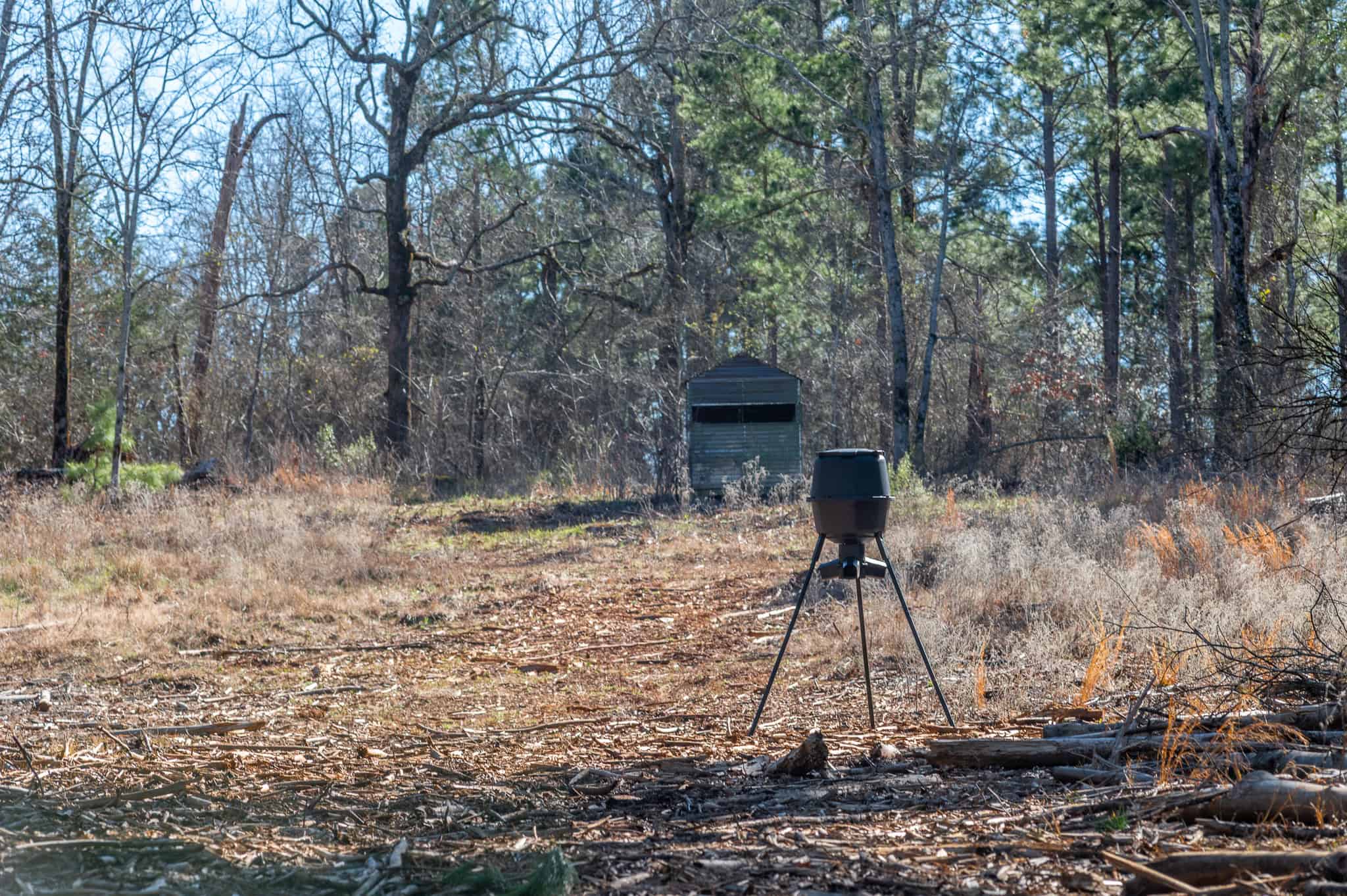 Premier East Texas Hunting & Timberland for Sale – 699 Acres in Ben Wheeler, TX