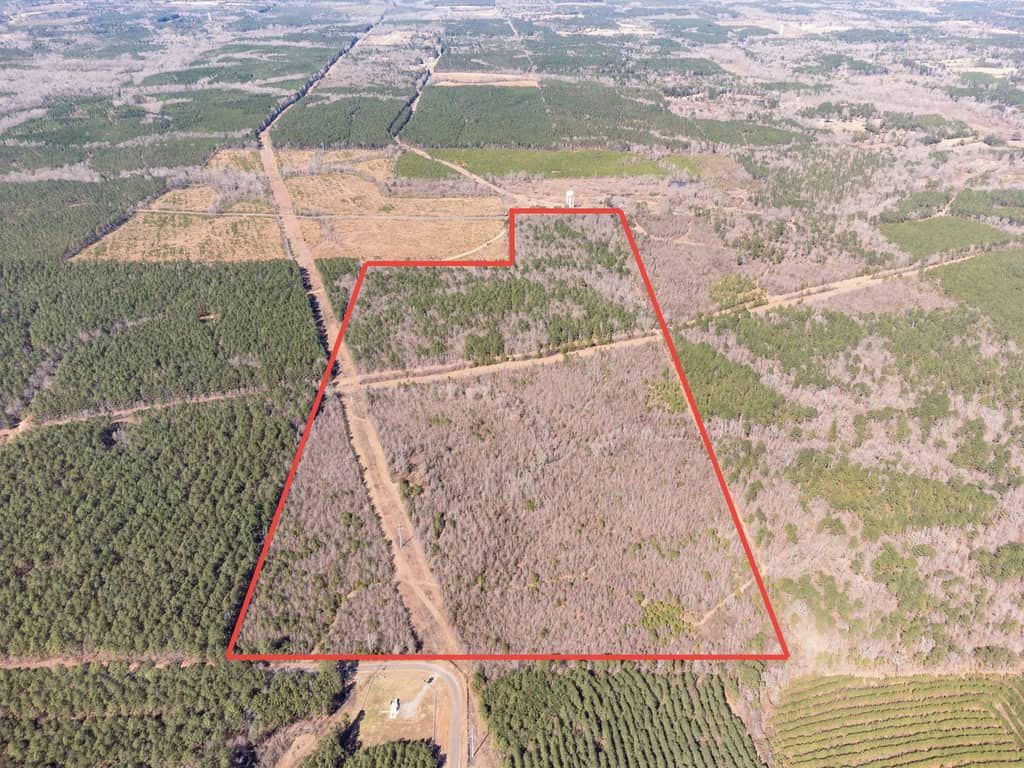 Woodville 101 – SW Lincoln Parish Timber Tract