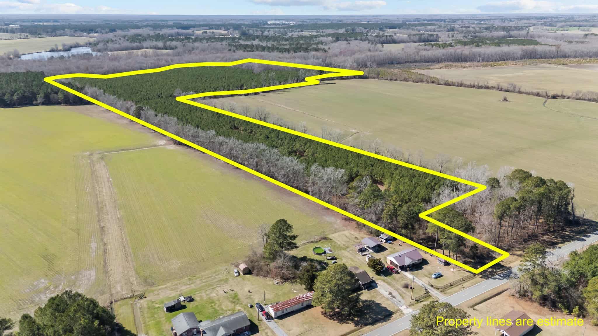 56 Acres of Hunting Property in Bertie County, NC