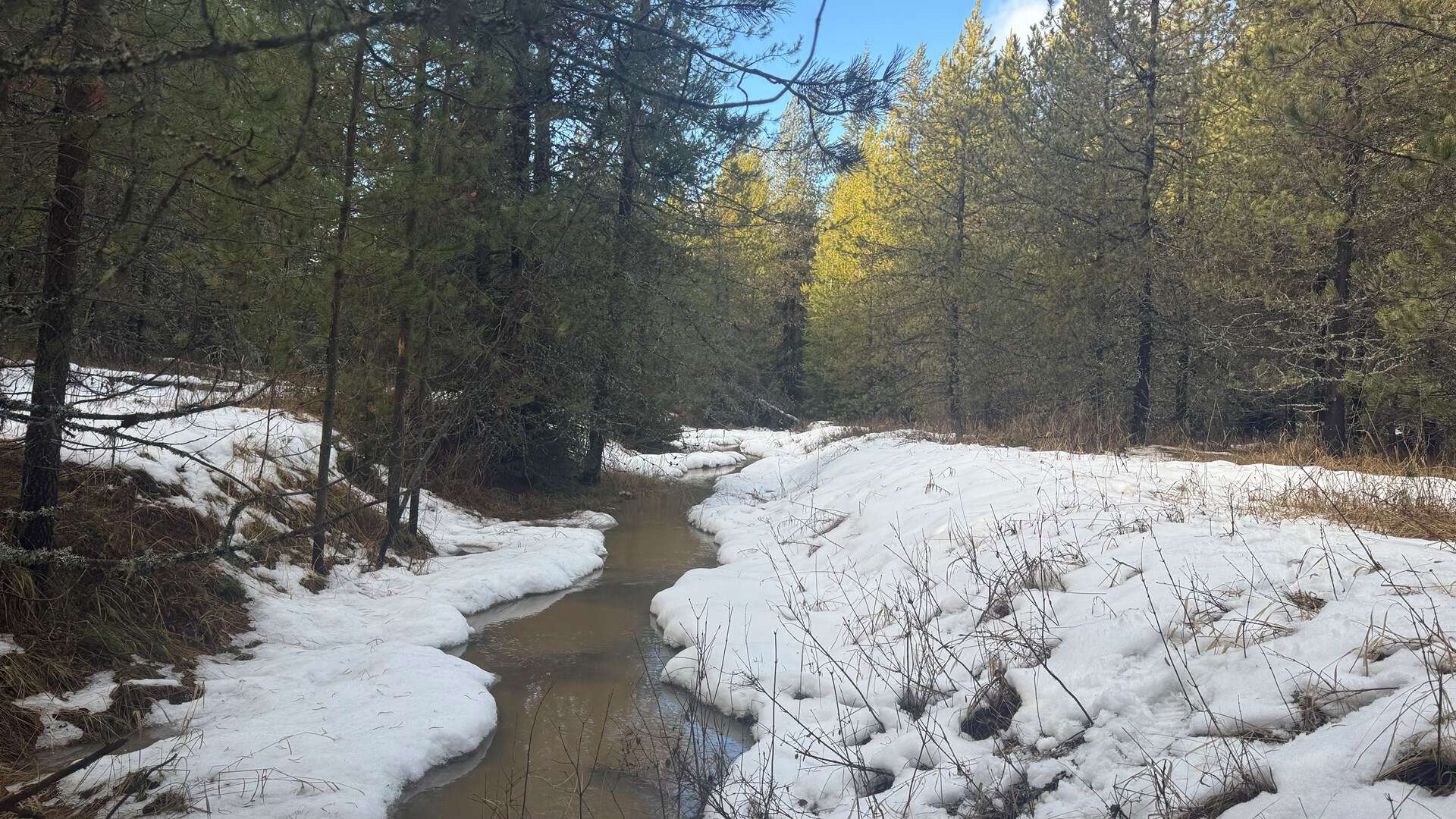 Land for Sale in Orofino, Idaho