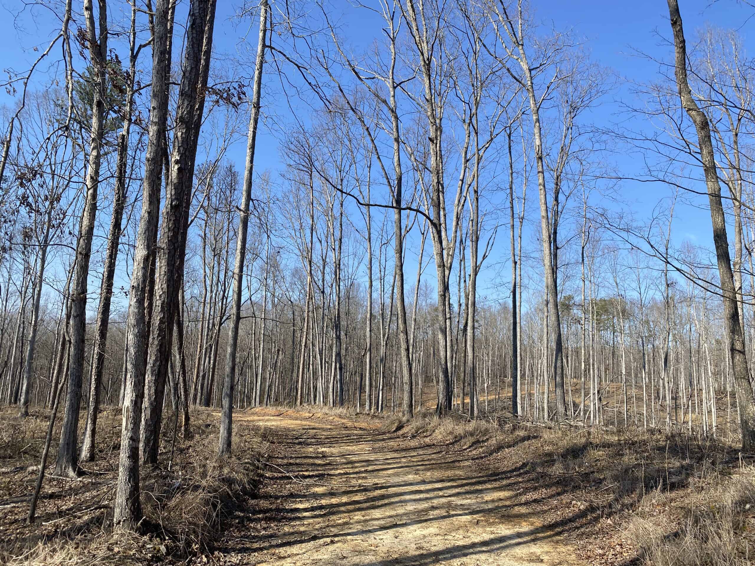 HUNTING PROPERTY FOR SALE IN TN, ROCK BOTTOM CREEKS & 5 FIELDS