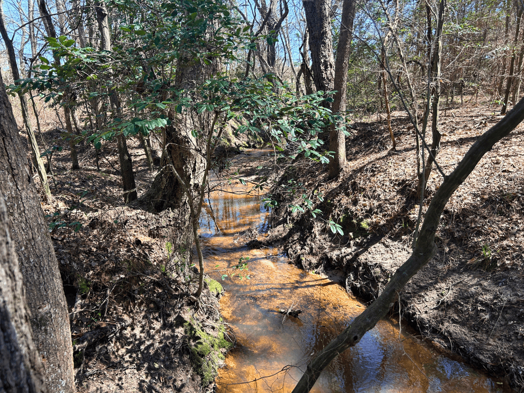 East Texas Timberland and Recreational Tract