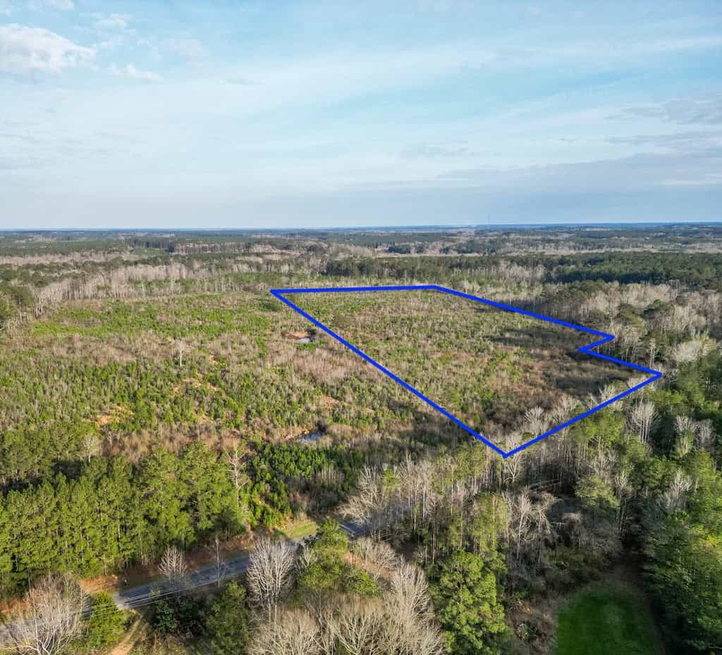 Land for Sale in Amite County, MS