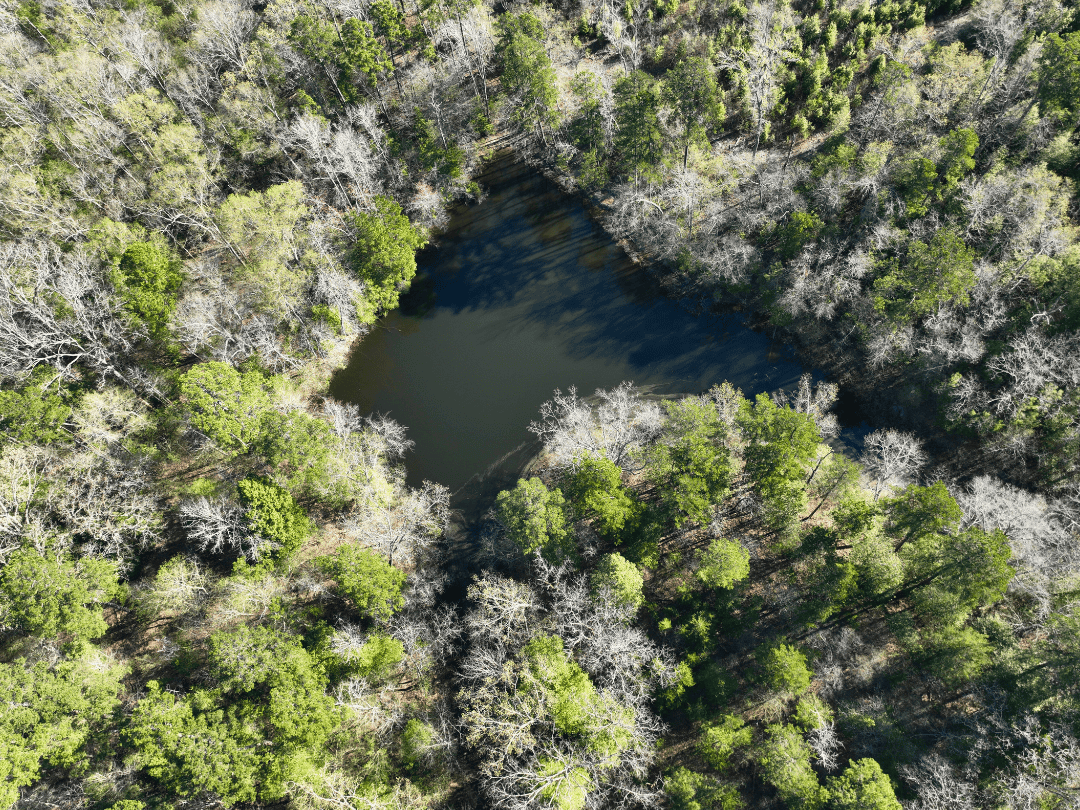 Hunting & Timber Investment Property for Sale in East Texas