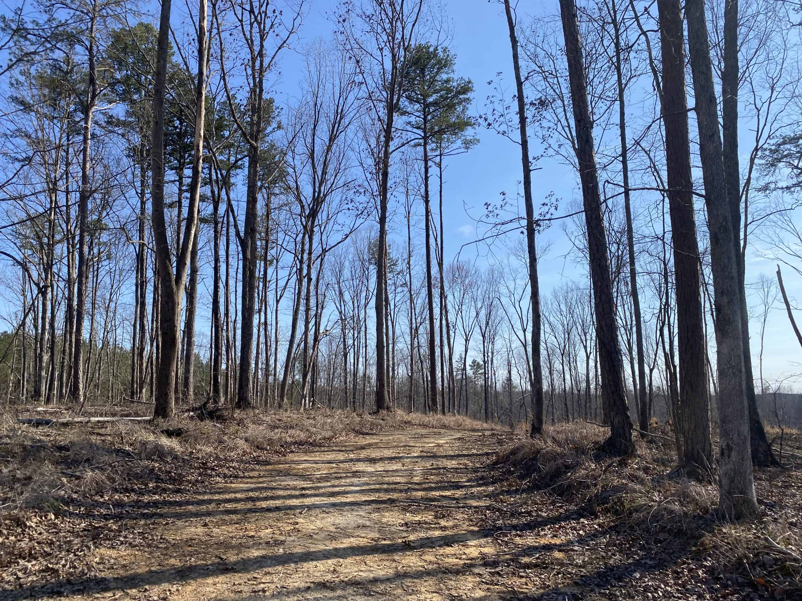HUNTING PROPERTY FOR SALE IN TN, ROCK BOTTOM CREEKS & 5 FIELDS