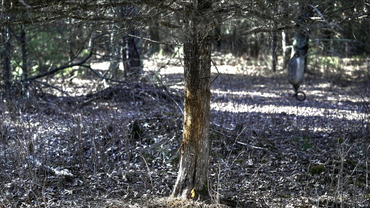 Premier Hunting and Recreational Property in Monroe County