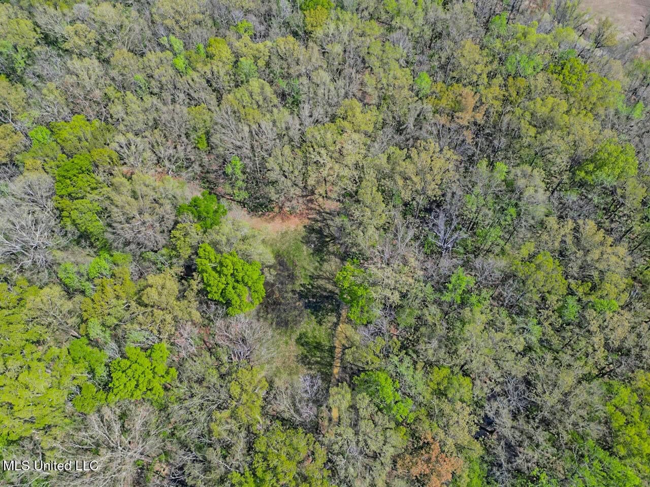 Affordable Deer/Duck Combination in Concordia Parish