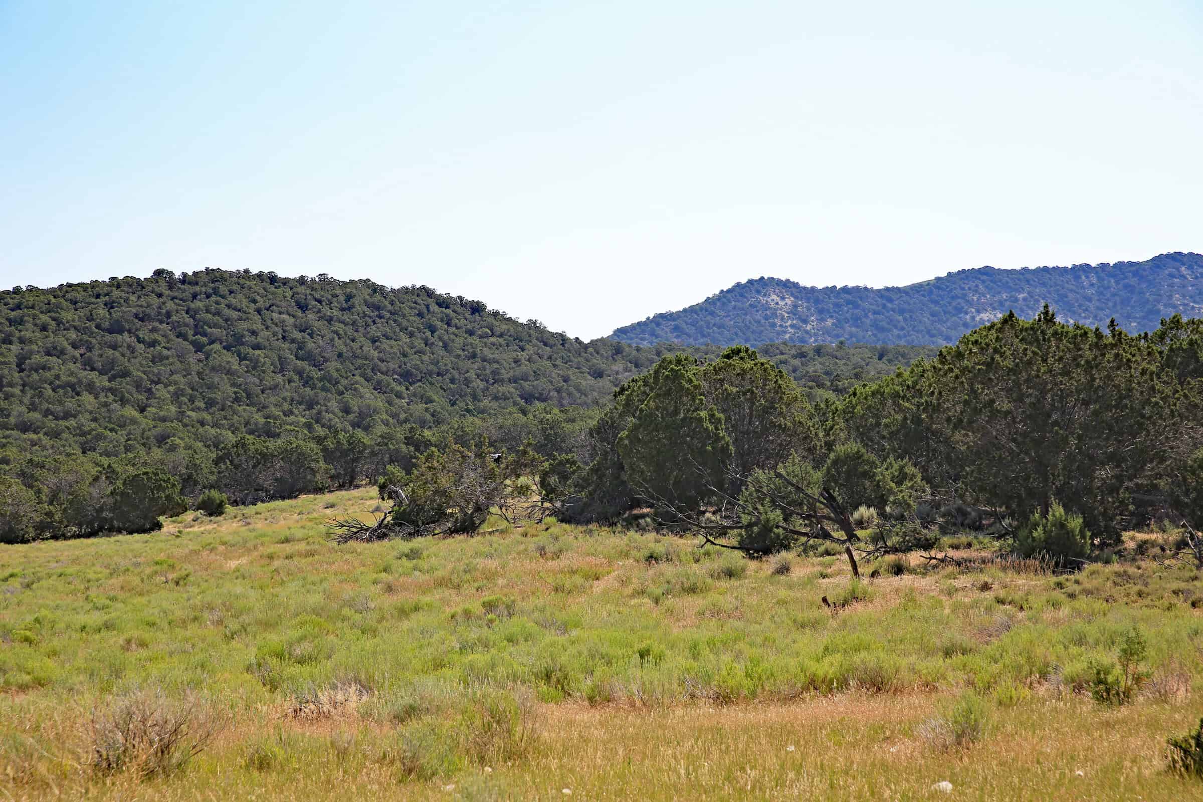 Colorado Land For Sale Borders Public Land National Forest and BLM