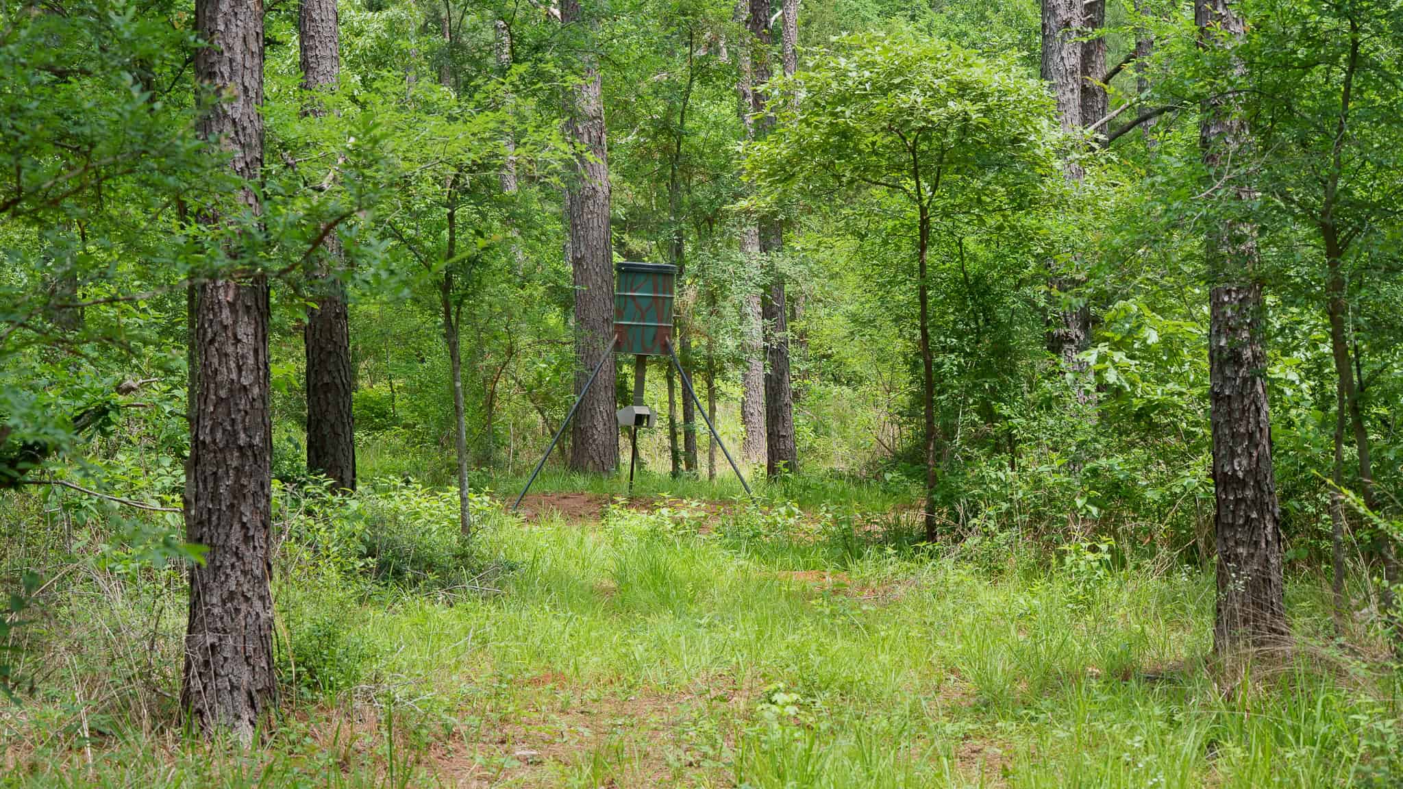 Premier East Texas Hunting & Timberland for Sale – 699 Acres in Ben Wheeler, TX