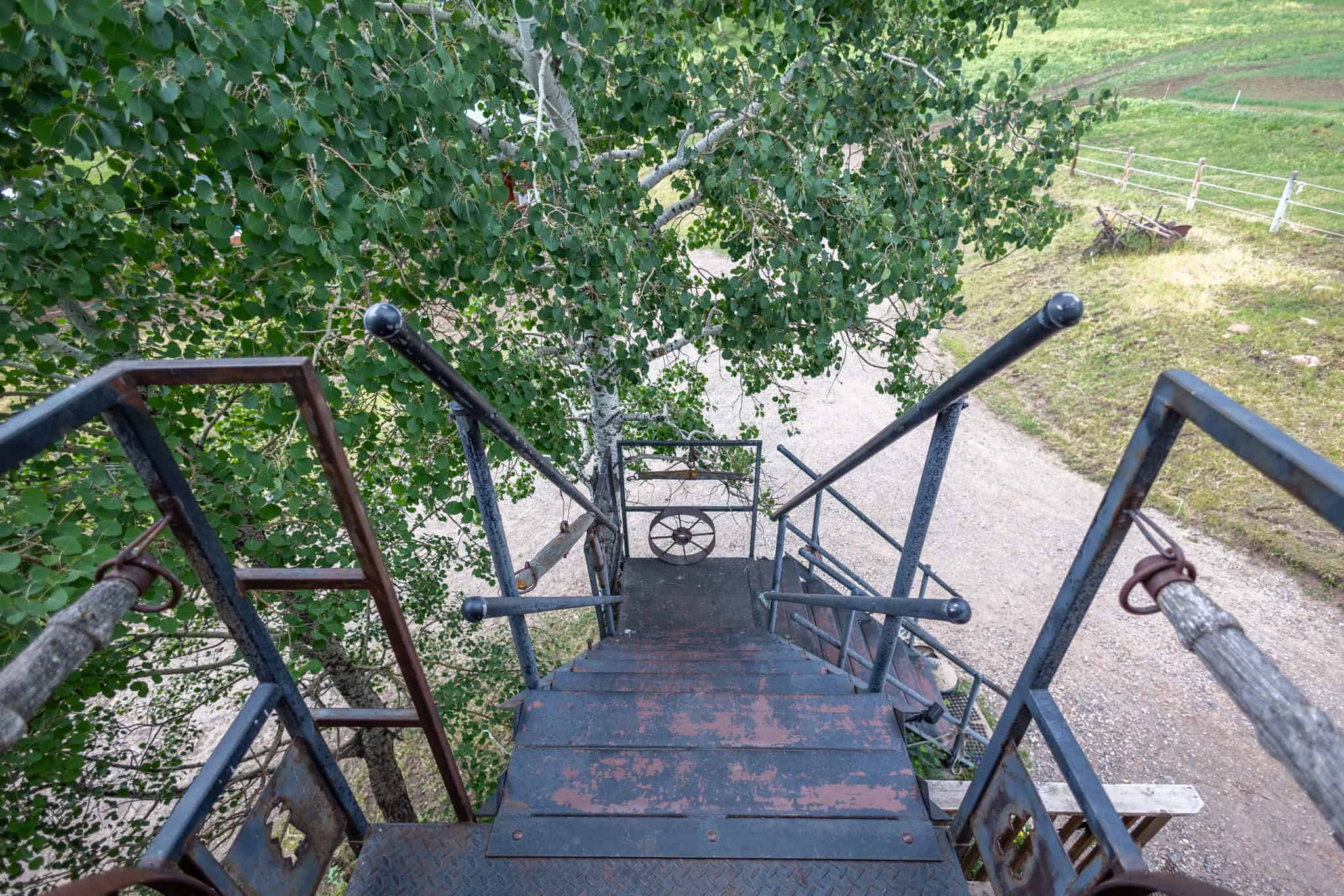 Colorado Outfitting Business for Sale Accessing National Forest