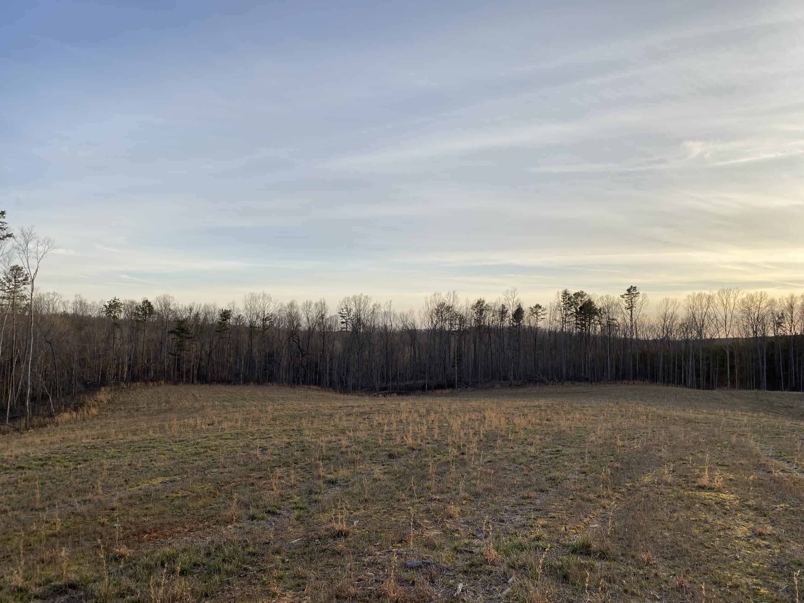 HUNTING PROPERTY FOR SALE IN TN, ROCK BOTTOM CREEKS & 5 FIELDS