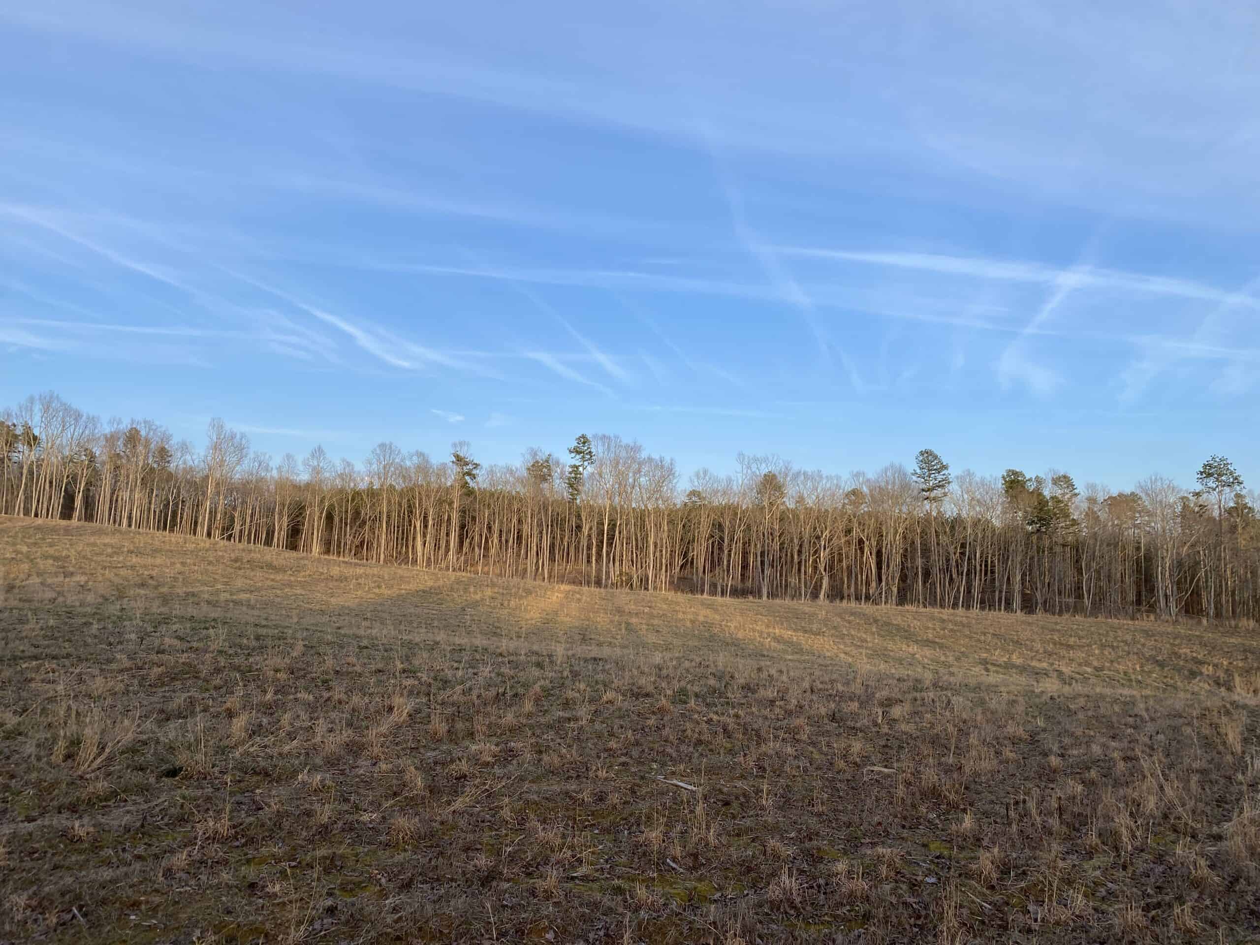 HUNTING PROPERTY FOR SALE IN TN, ROCK BOTTOM CREEKS & 5 FIELDS