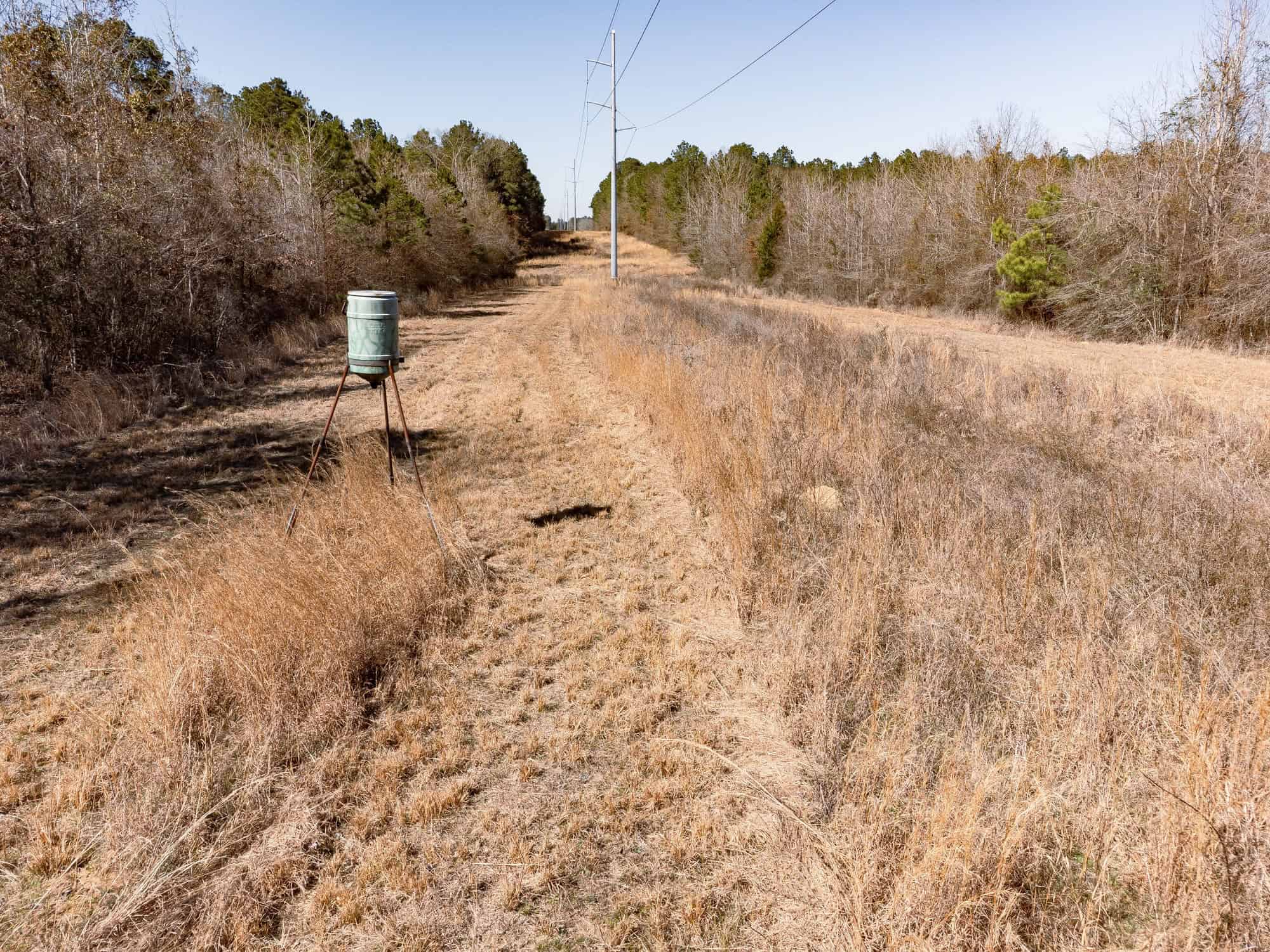 Woodville 45 – SW Lincoln Parish Timber Tract