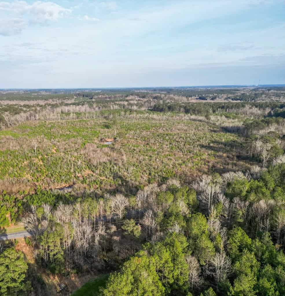 Land for Sale in Amite County, MS