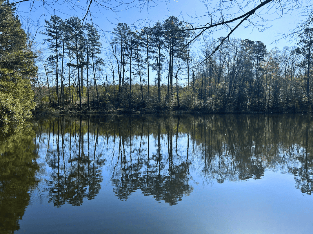 Hunting & Timber Investment Property for Sale in East Texas