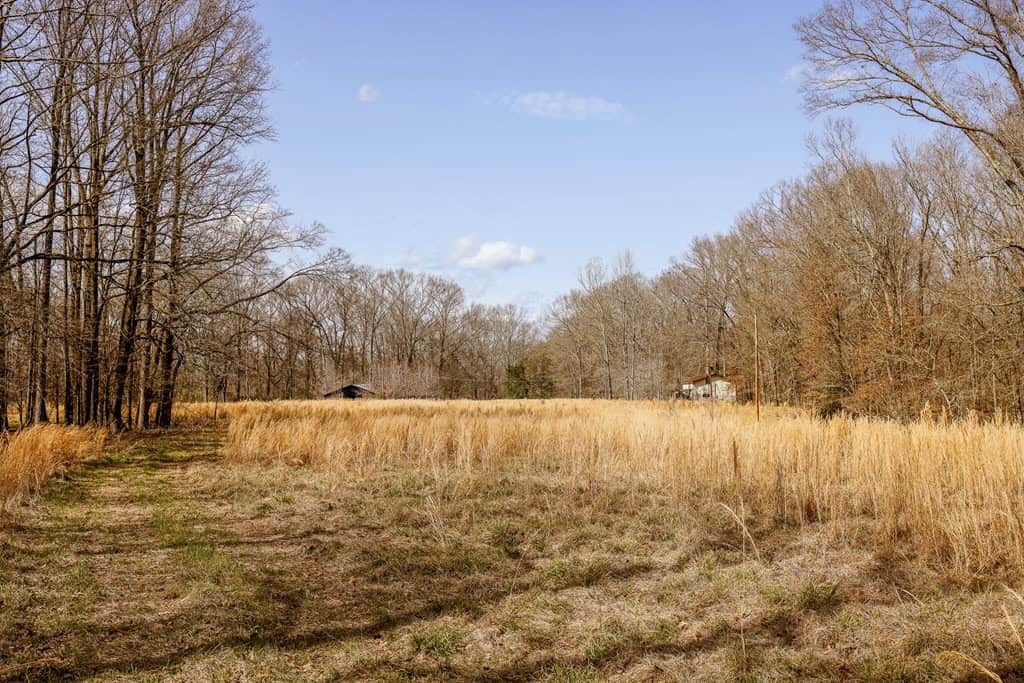 Land for Sale in Warren County, MS