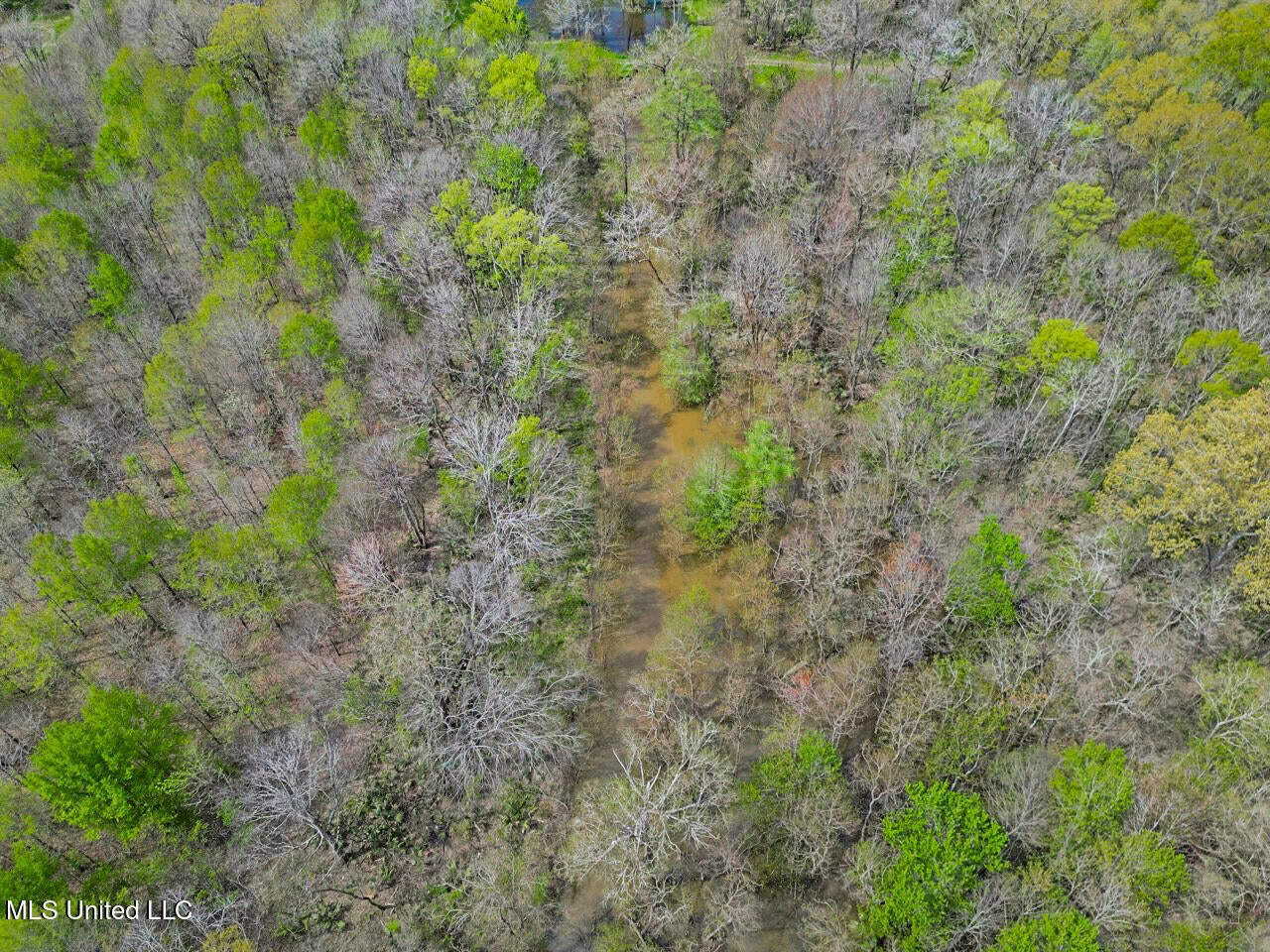 Affordable Deer/Duck Combination in Concordia Parish
