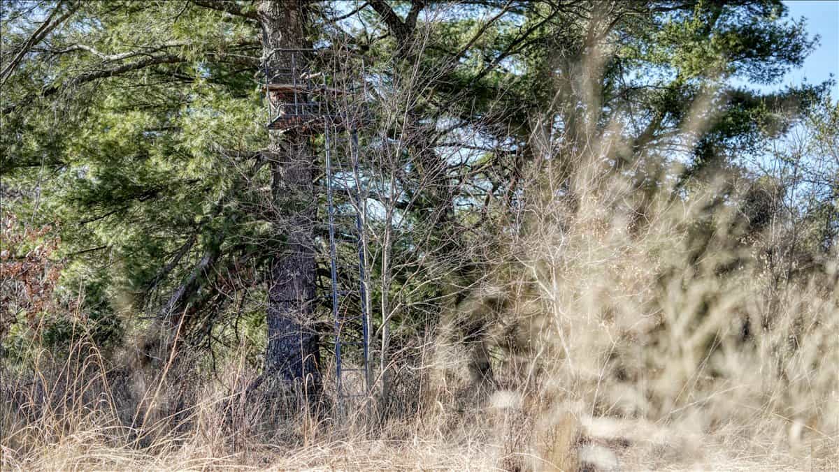 Premier Hunting and Recreational Property in Monroe County