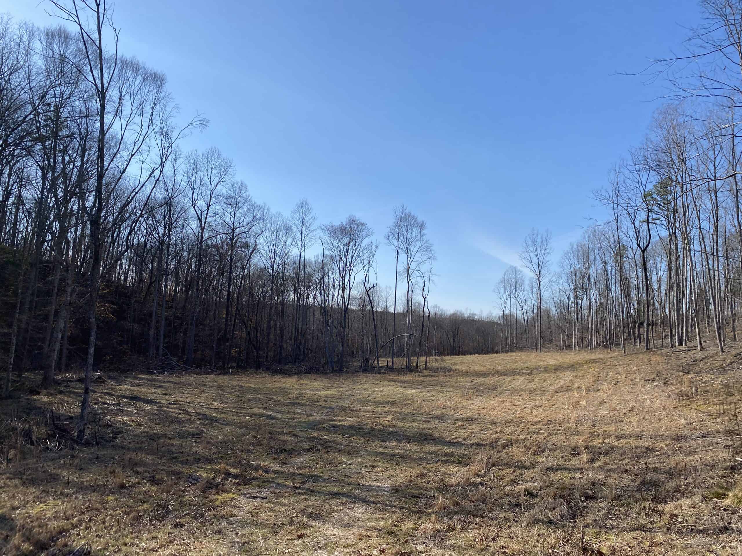 HUNTING PROPERTY FOR SALE IN TN, ROCK BOTTOM CREEKS & 5 FIELDS