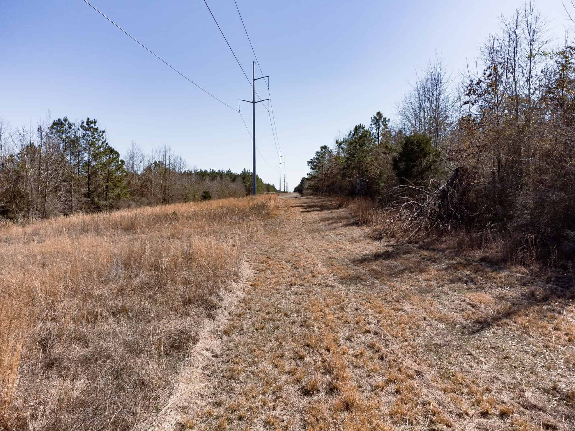 Woodville 54 – SW Lincoln Parish Timber Tract