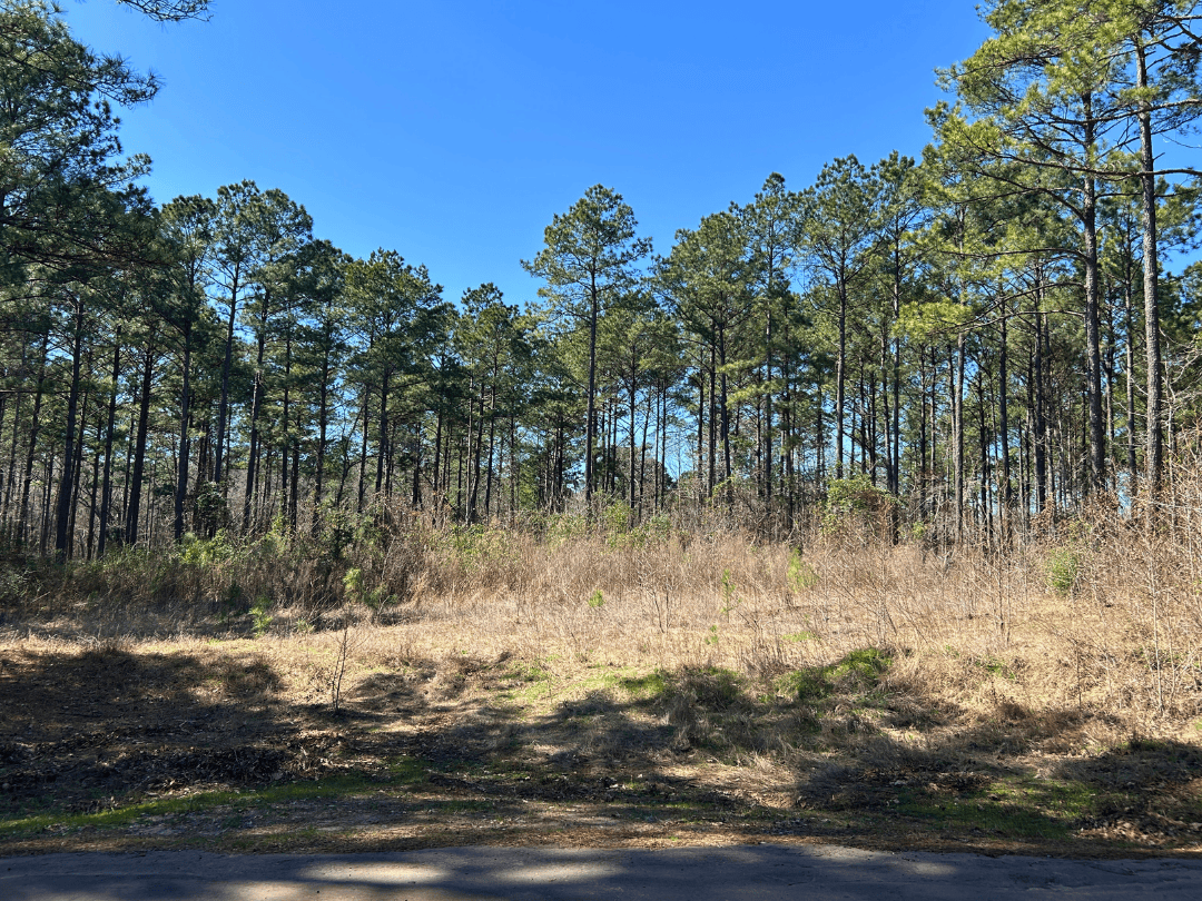 East Texas Land For Sale – Timber Investment & Hunting Property