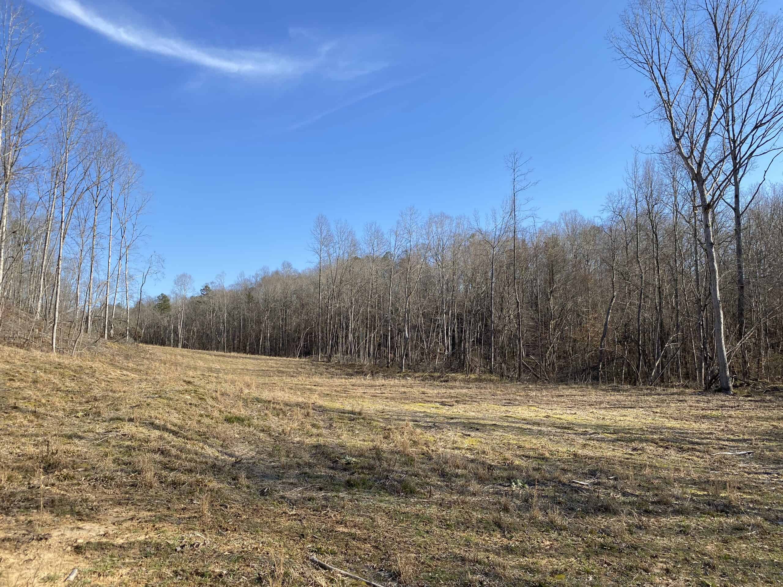 HUNTING PROPERTY FOR SALE IN TN, ROCK BOTTOM CREEKS & 5 FIELDS
