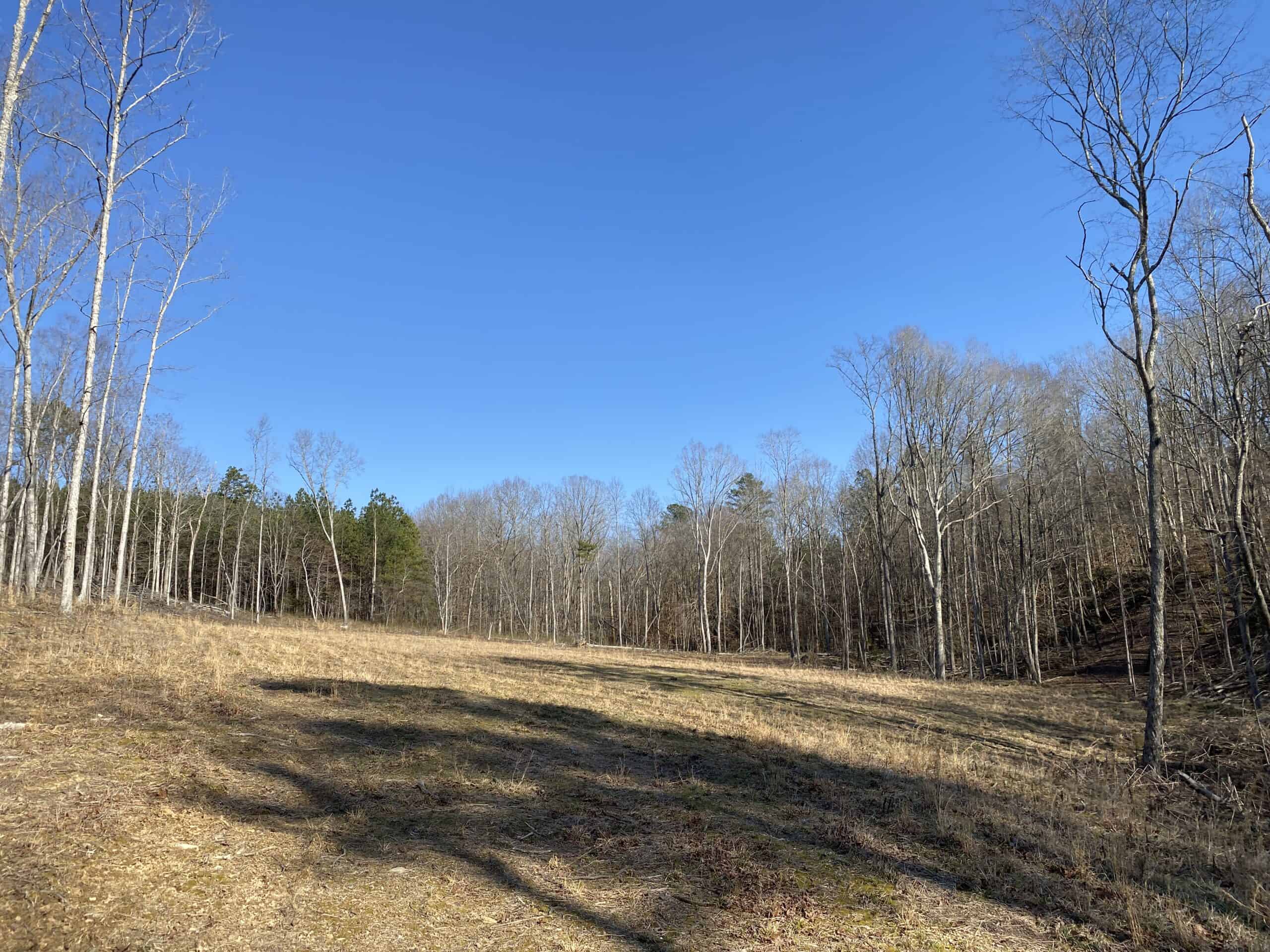 HUNTING PROPERTY FOR SALE IN TN, ROCK BOTTOM CREEKS & 5 FIELDS