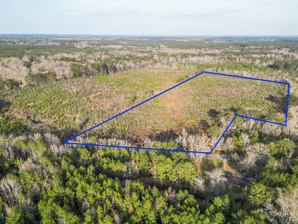 Land for Sale in Amite County, MS