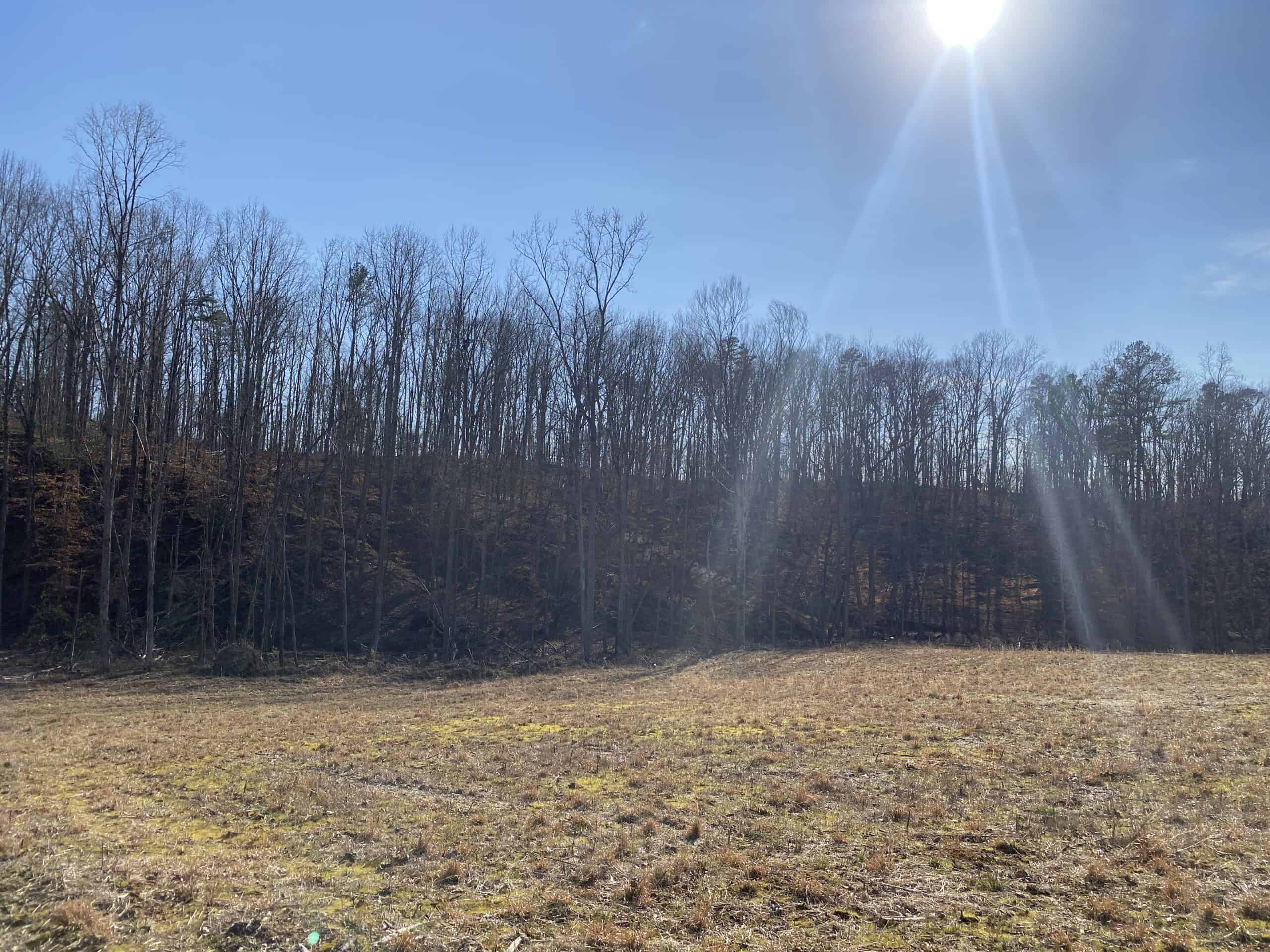 HUNTING PROPERTY FOR SALE IN TN, ROCK BOTTOM CREEKS & 5 FIELDS