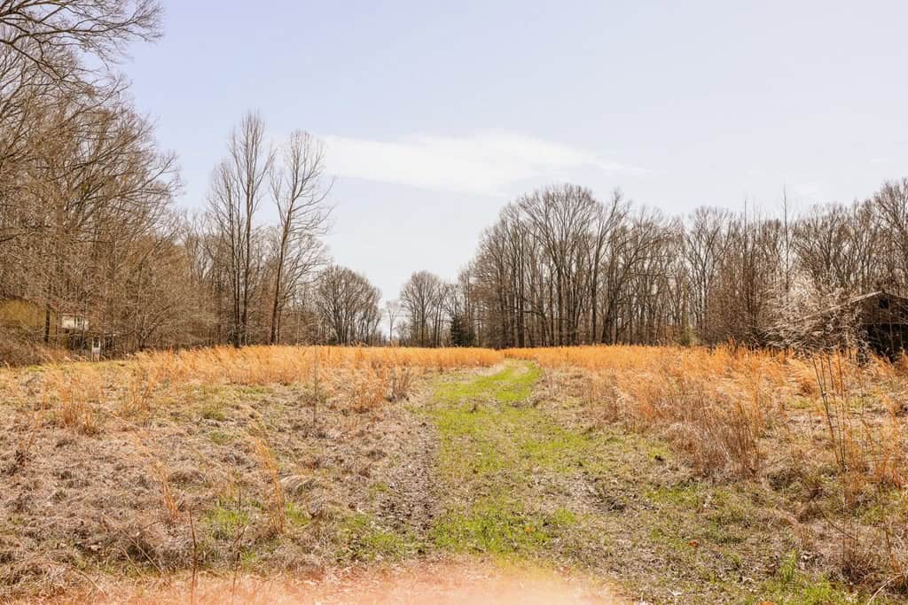 Land for Sale in Warren County, MS